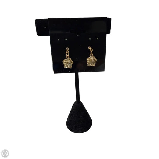 Earrings Dangle/drop