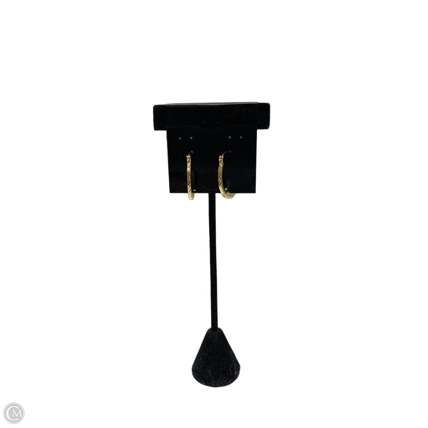 Earrings Hoop