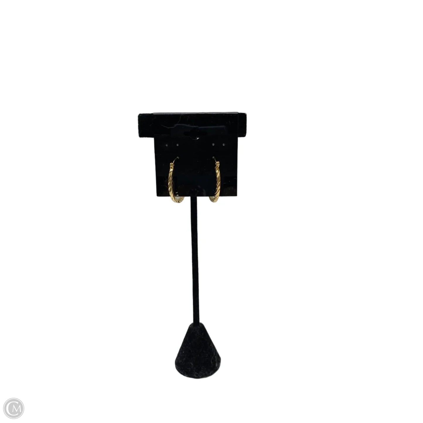 Earrings Hoop