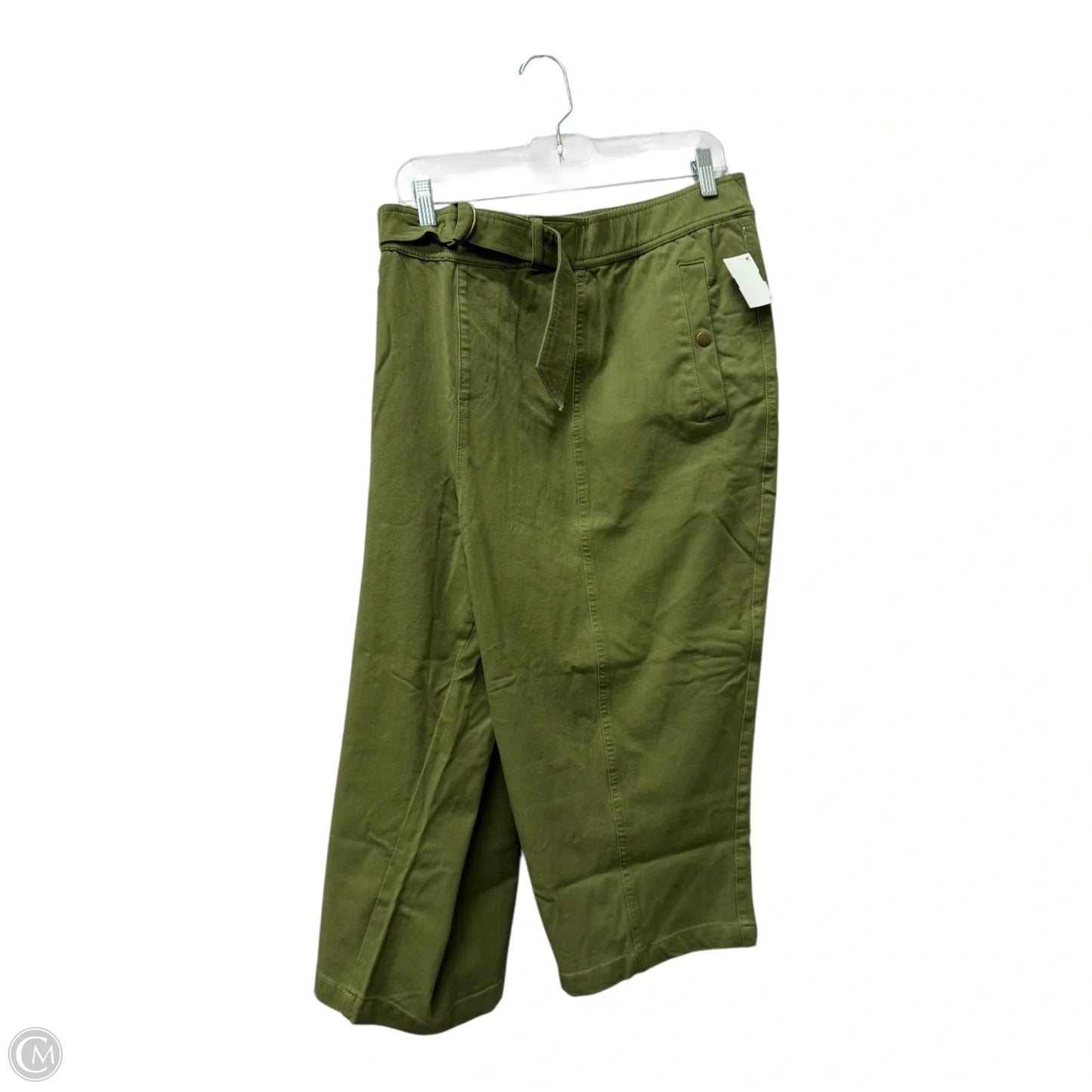 Capris By Any Body In Green, Size: 22P