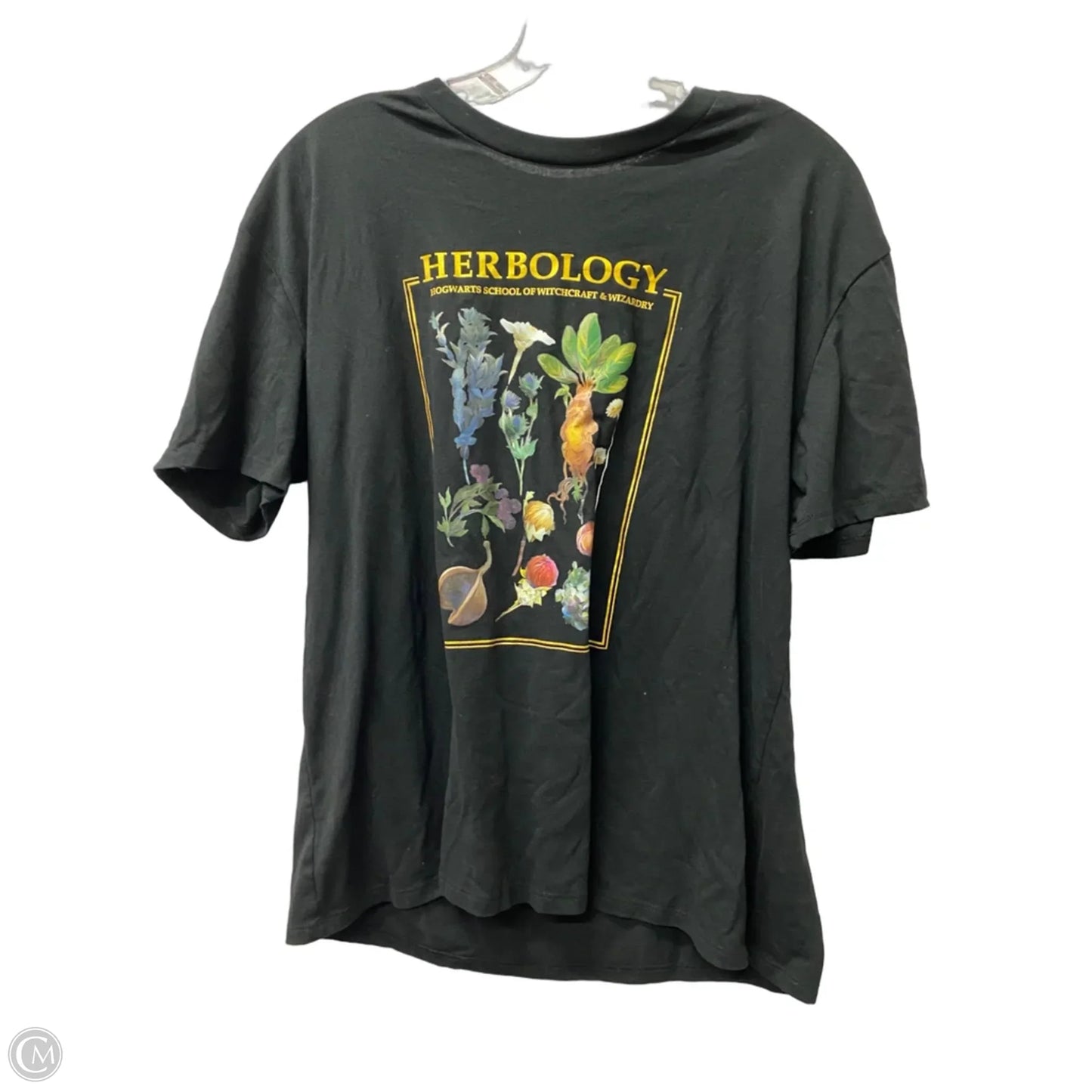 Top Short Sleeve By Harry Potter  In Black, Size: 1x