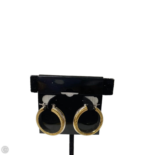 Earrings Hoop
