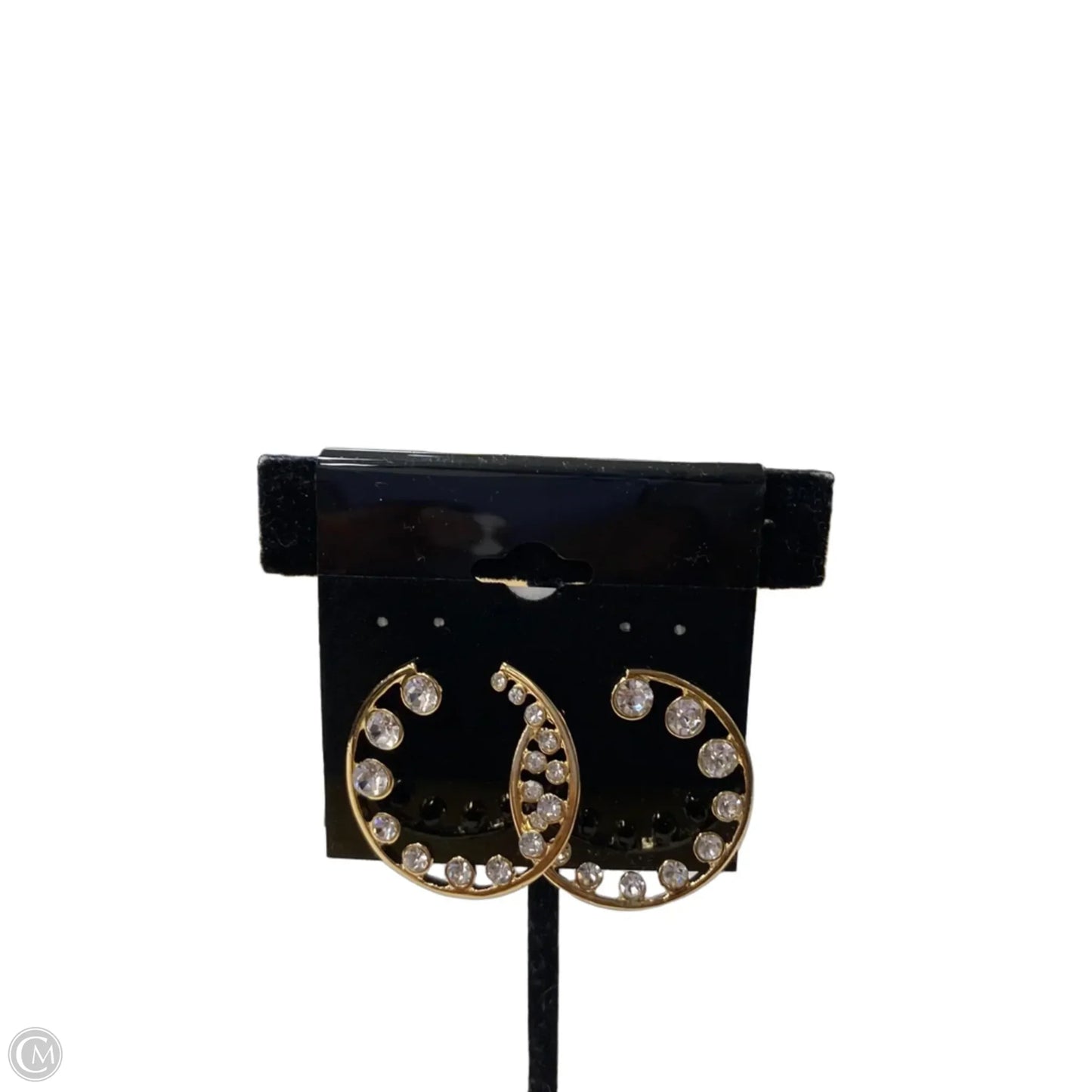 Earrings Hoop