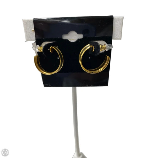 Earrings Hoop