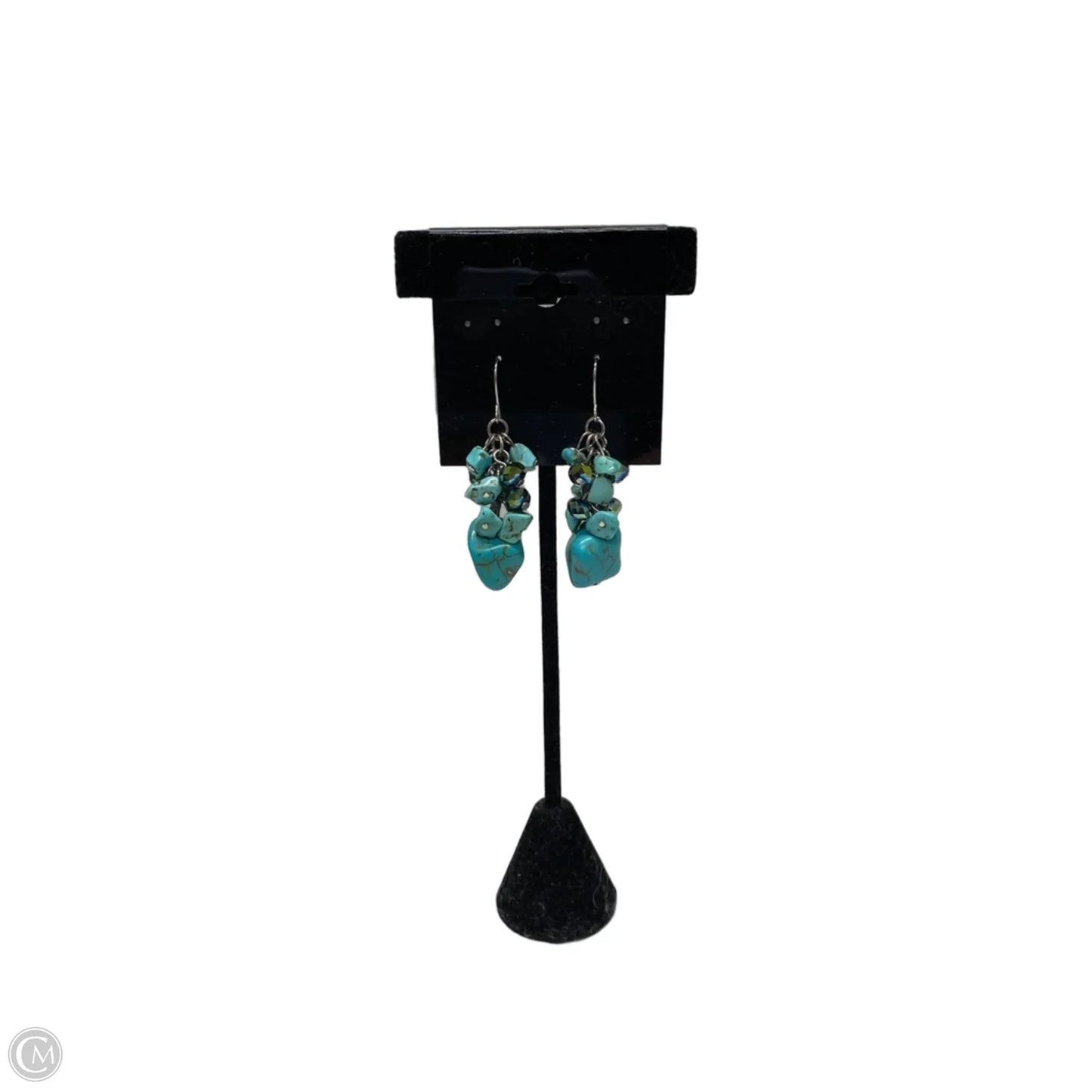 Earrings Dangle/drop