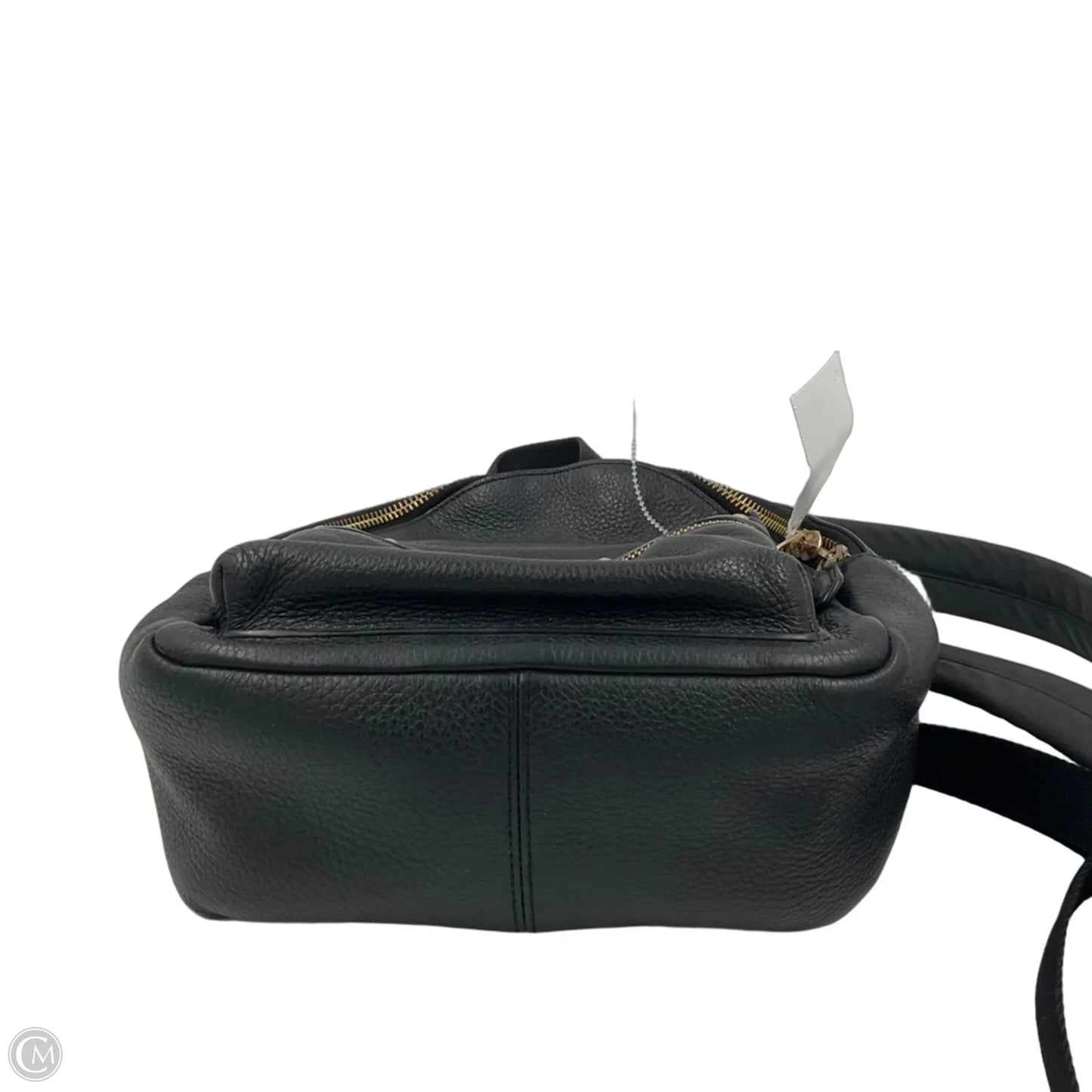Backpack Designer By Coach, Size: Small