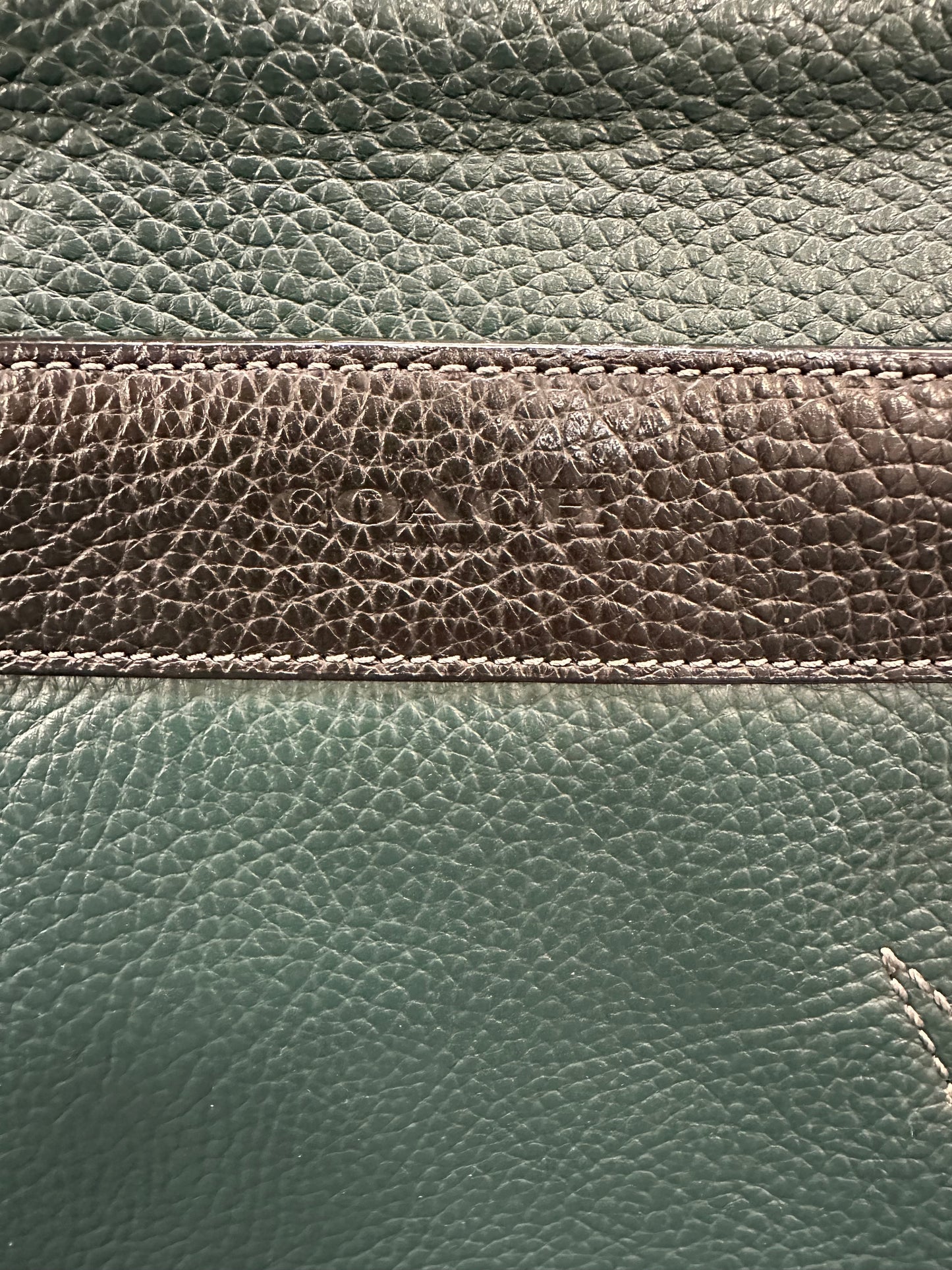 Handbag Designer By Coach In Black & Green, Size:Medium