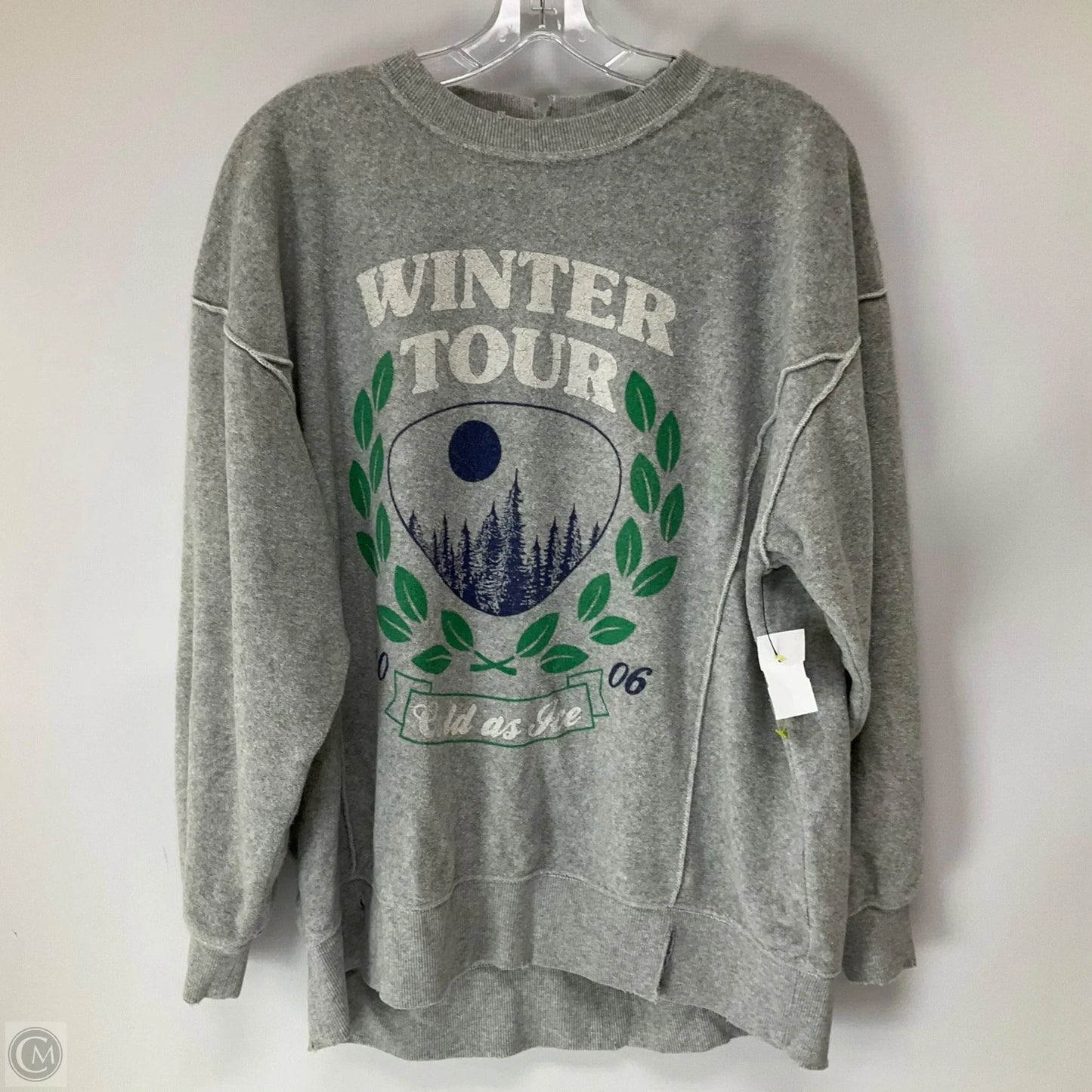 Sweatshirt Crewneck By Aerie In Grey, Size: S