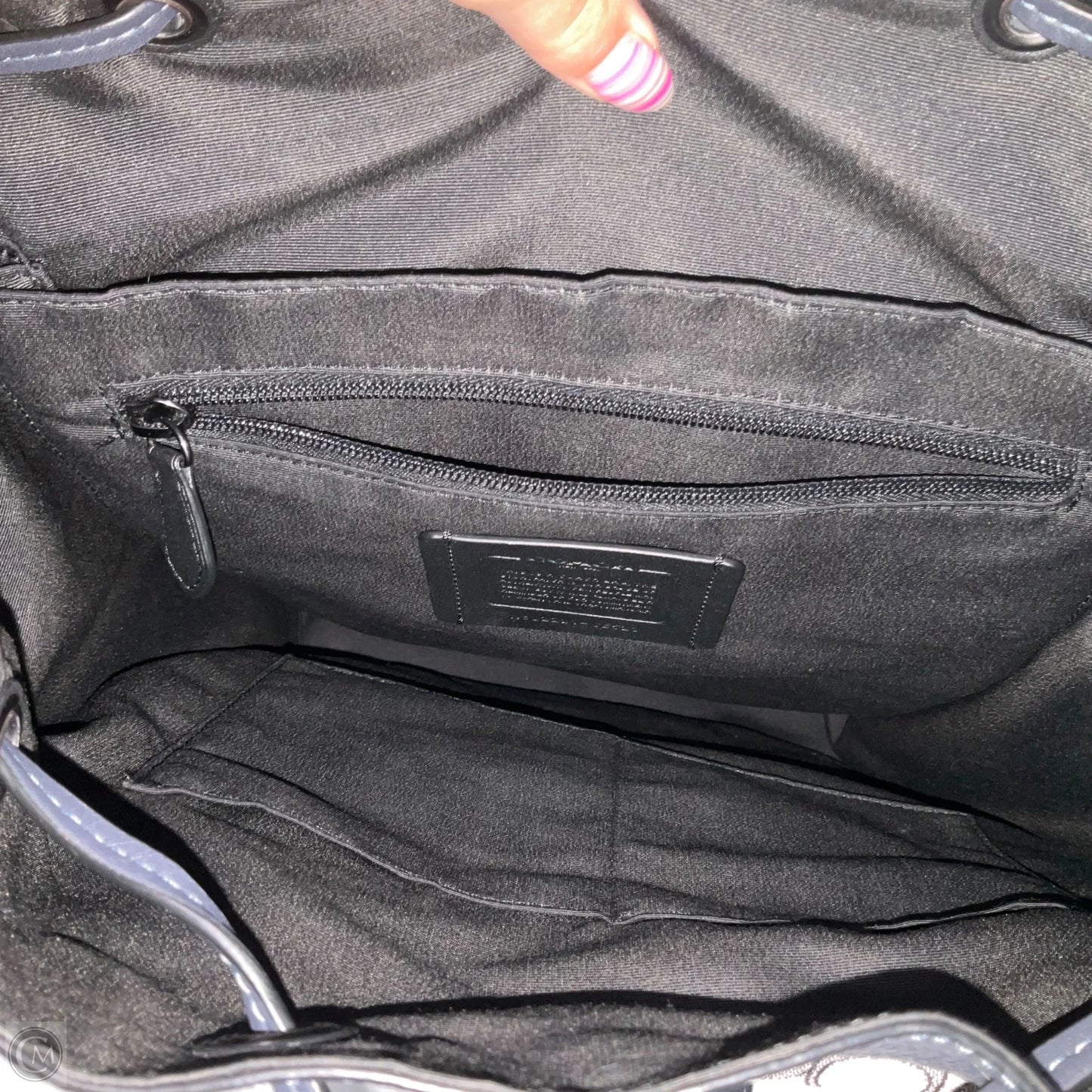 Backpack Designer By Coach, Size: Large