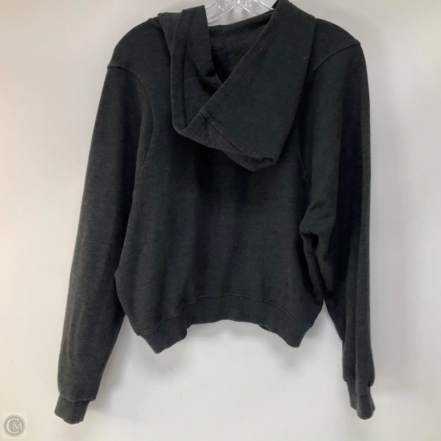 Sweatshirt Hoodie By Free People In Grey, Size: M