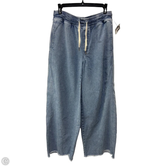 Pants Other By Aerie In Blue, Size: M