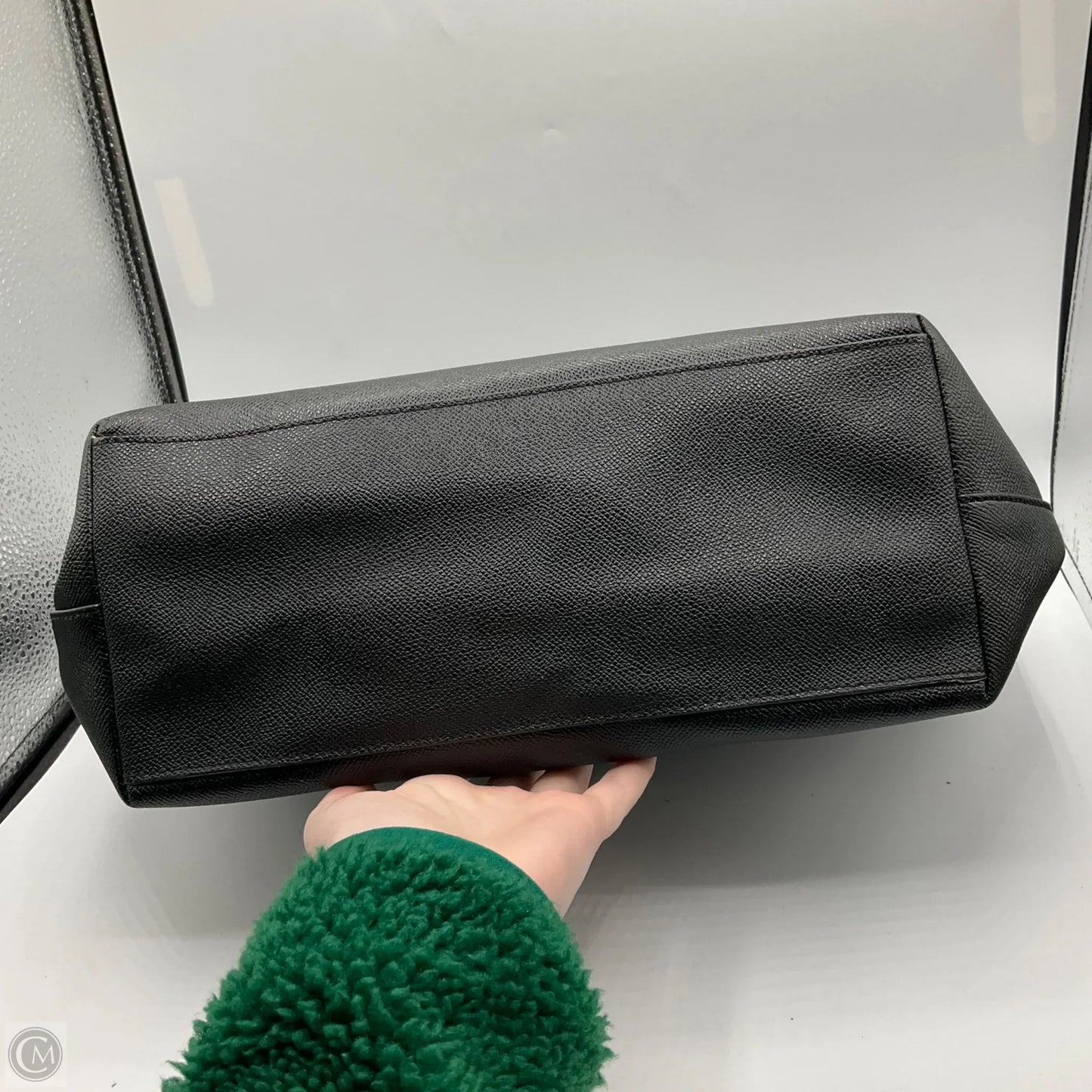 Handbag Designer By Coach, Size: Large