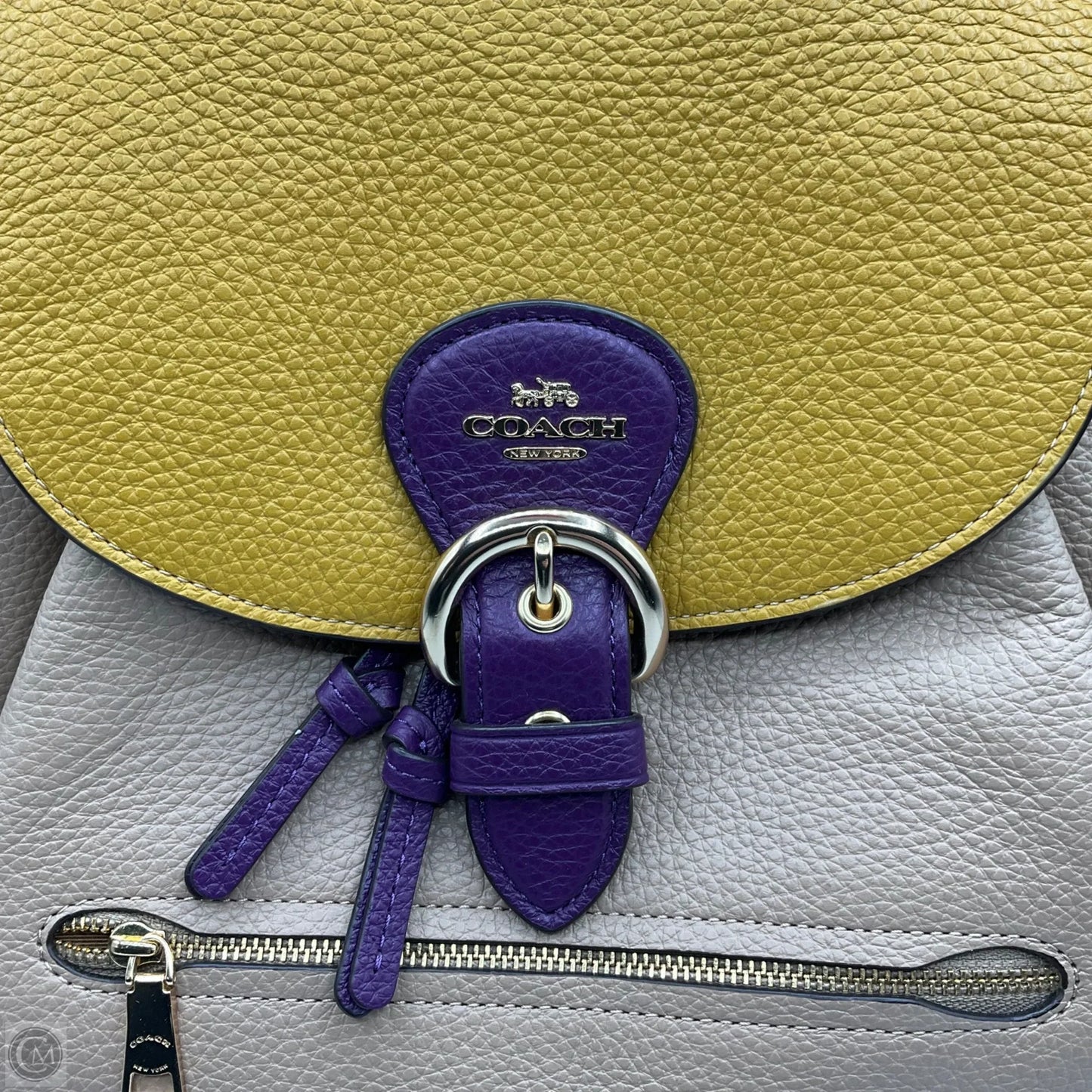 Backpack Designer By Coach, Size: Medium