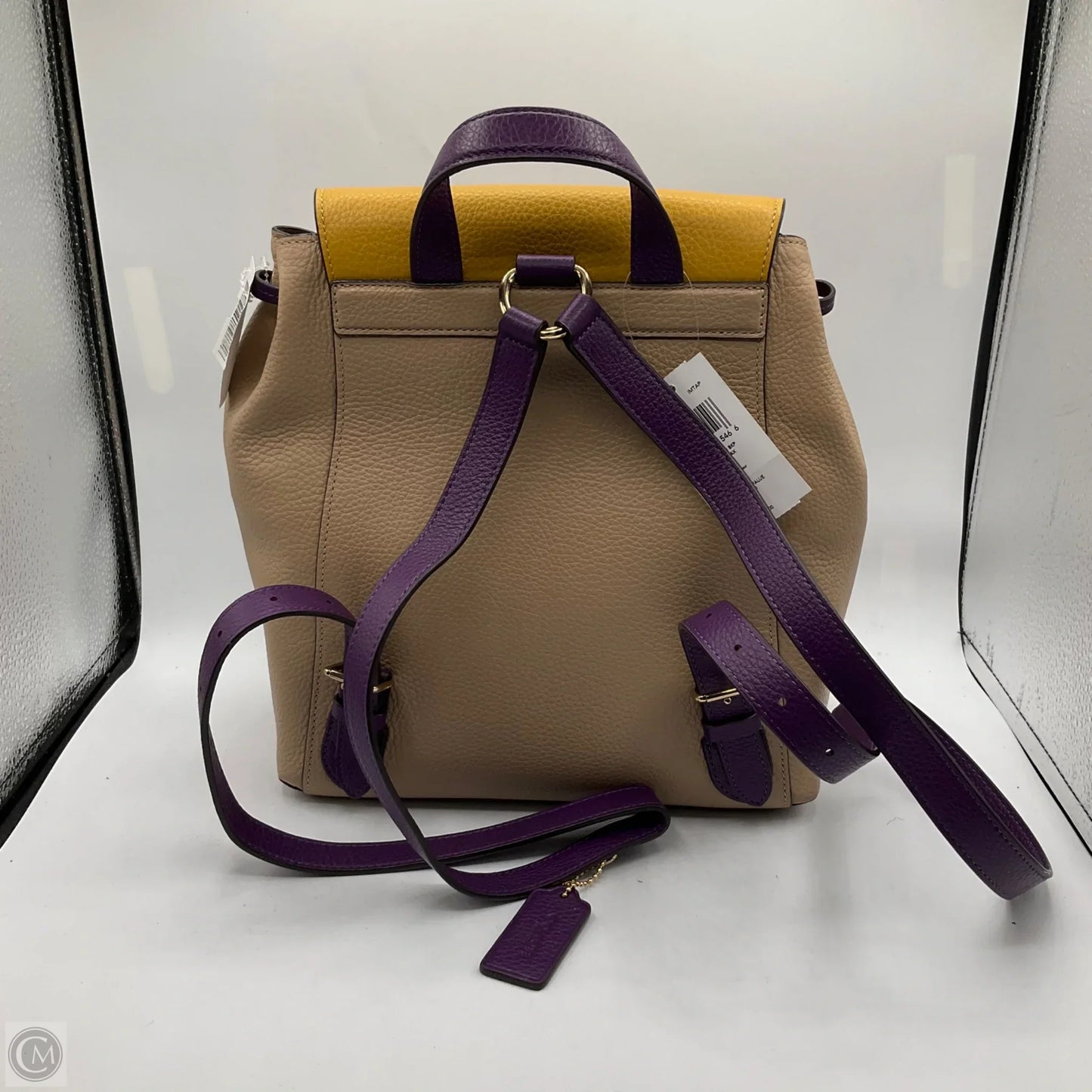Backpack Designer By Coach, Size: Medium