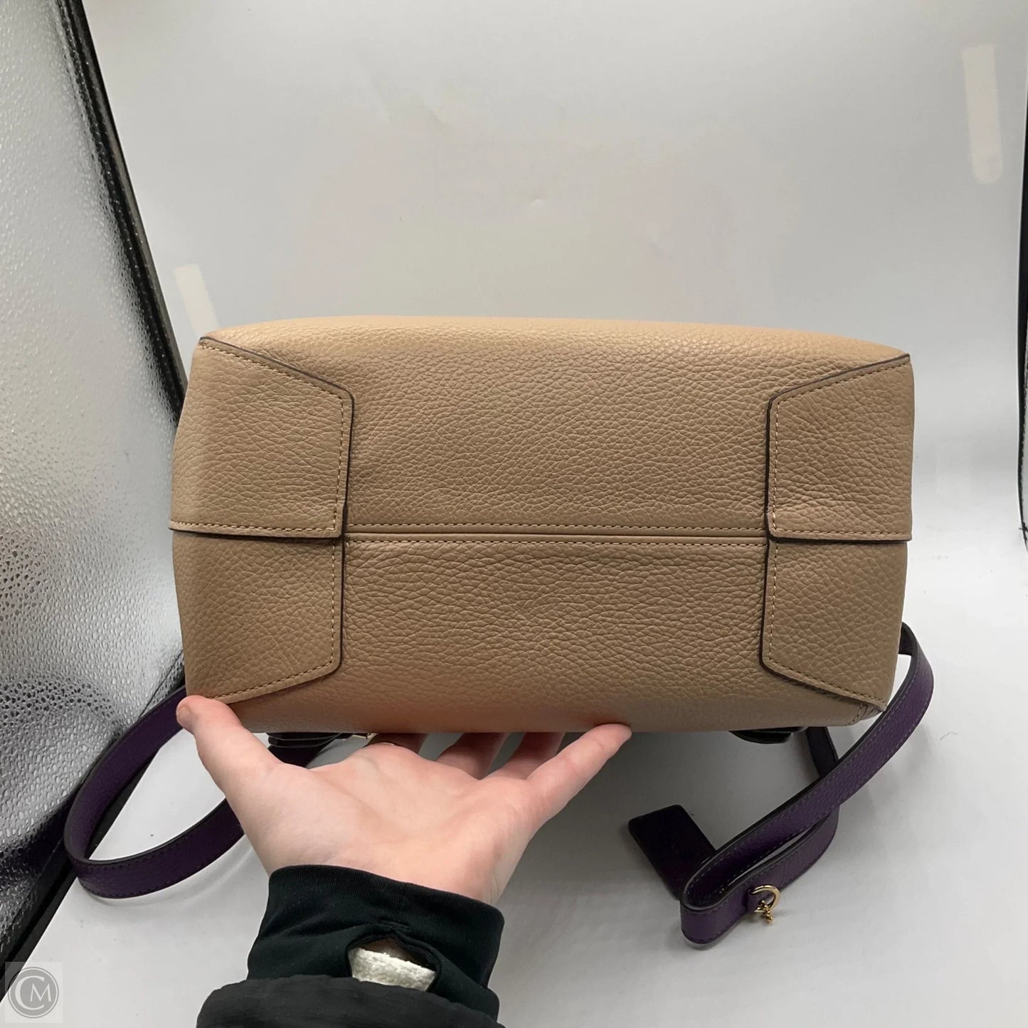 Backpack Designer By Coach, Size: Medium