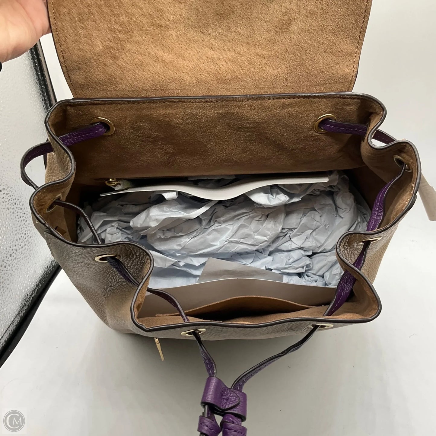 Backpack Designer By Coach, Size: Medium