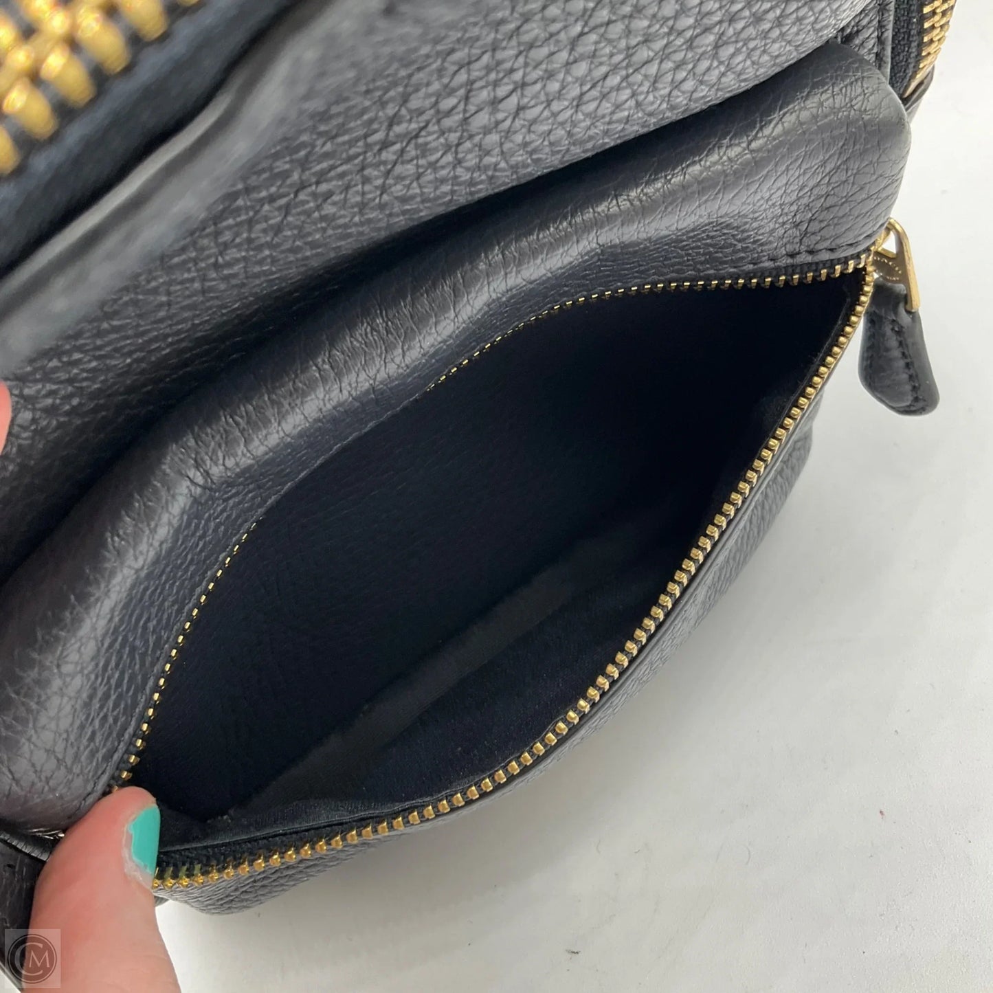 Backpack Designer By Coach, Size: Small