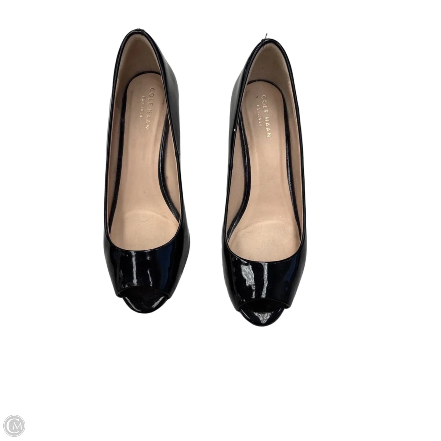 Shoes Heels Wedge By Cole-haan In Black, Size: 7