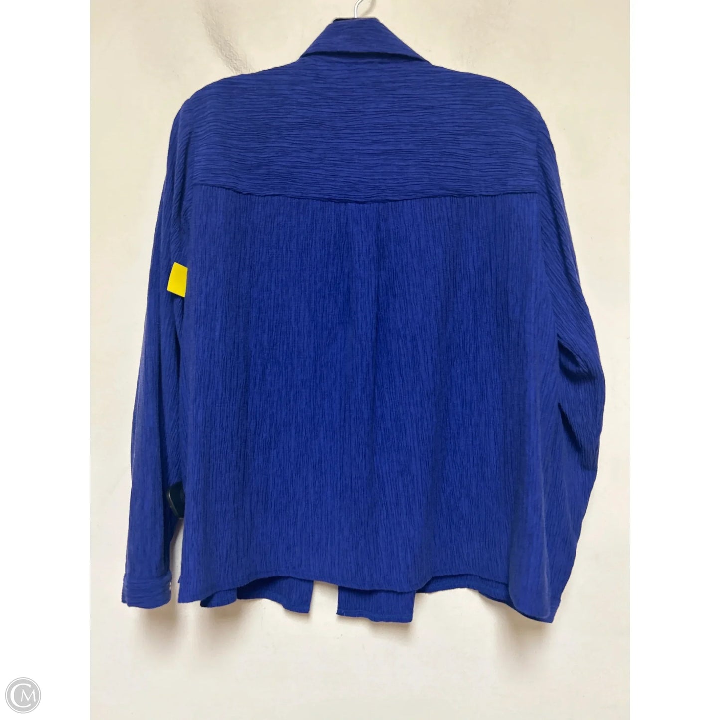Top Long Sleeve By Eileen Fisher In Blue, Size: Sp