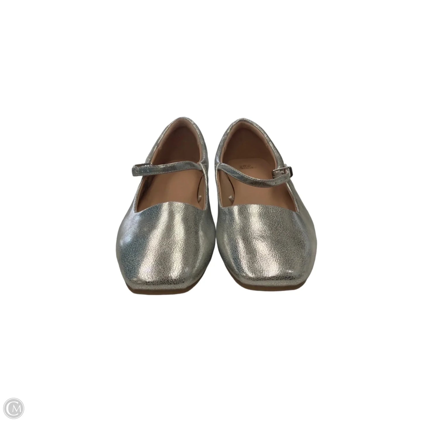 Shoes Flats By Wild Fable In Silver, Size: 9.5