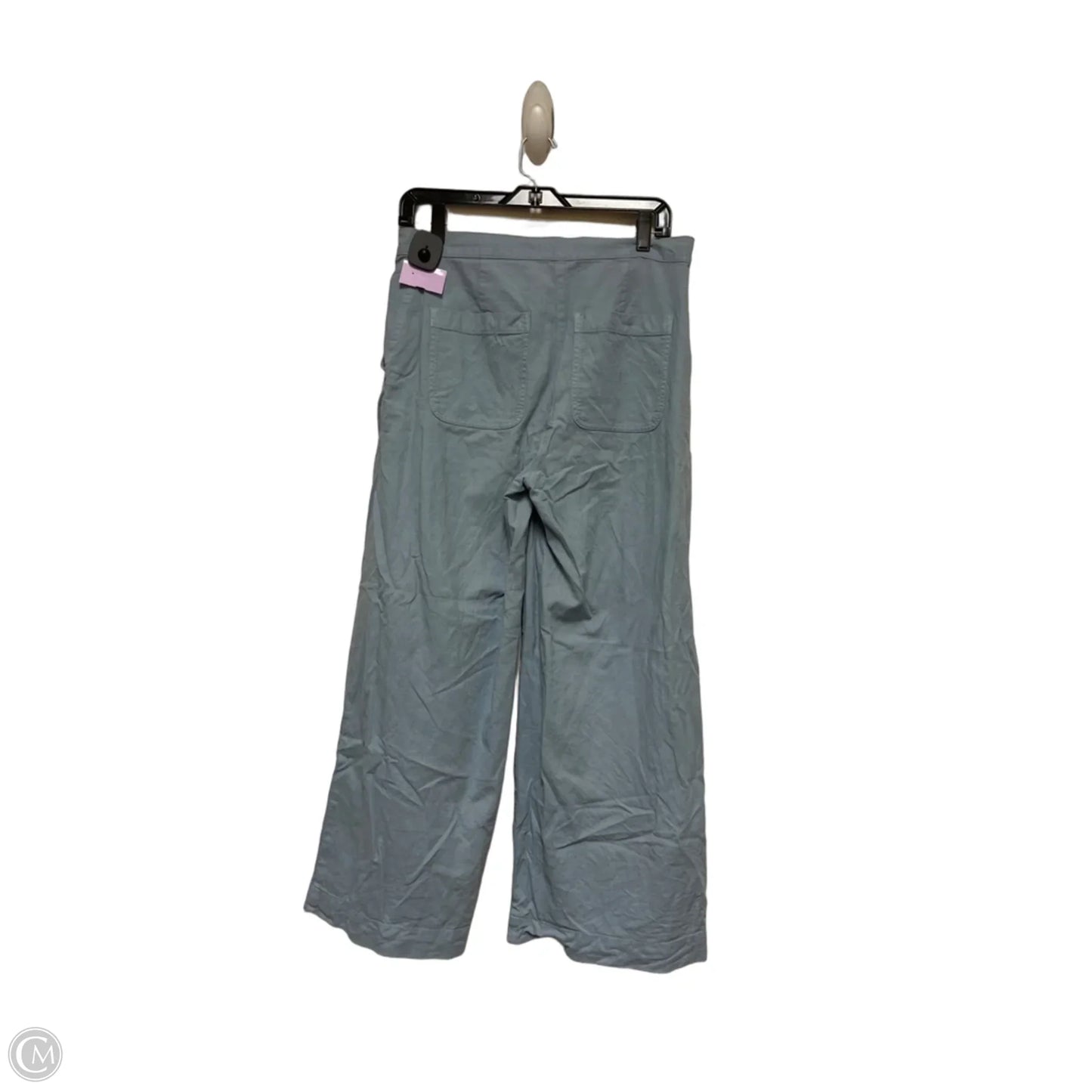 Pants Other By Eileen Fisher In Blue, Size: 6
