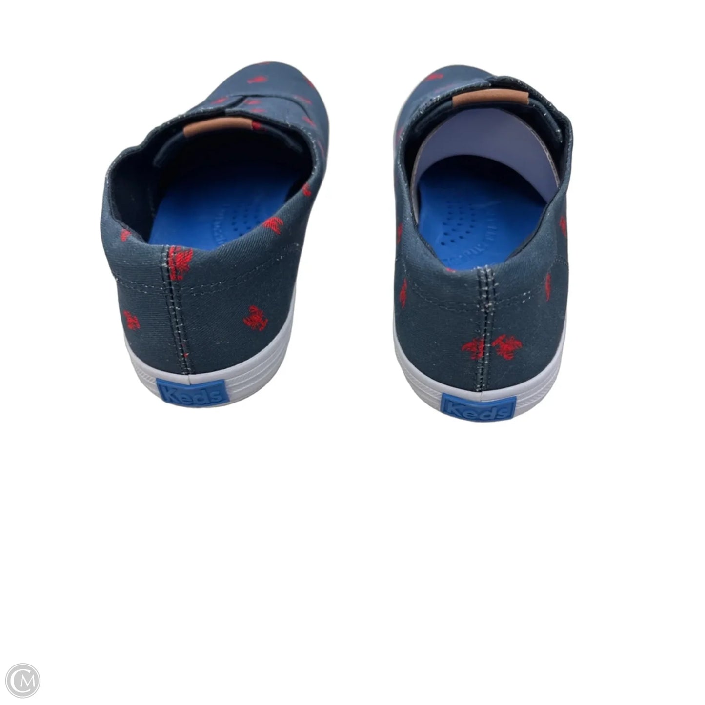 Shoes Flats By Keds In Blue & Red, Size: 7.5