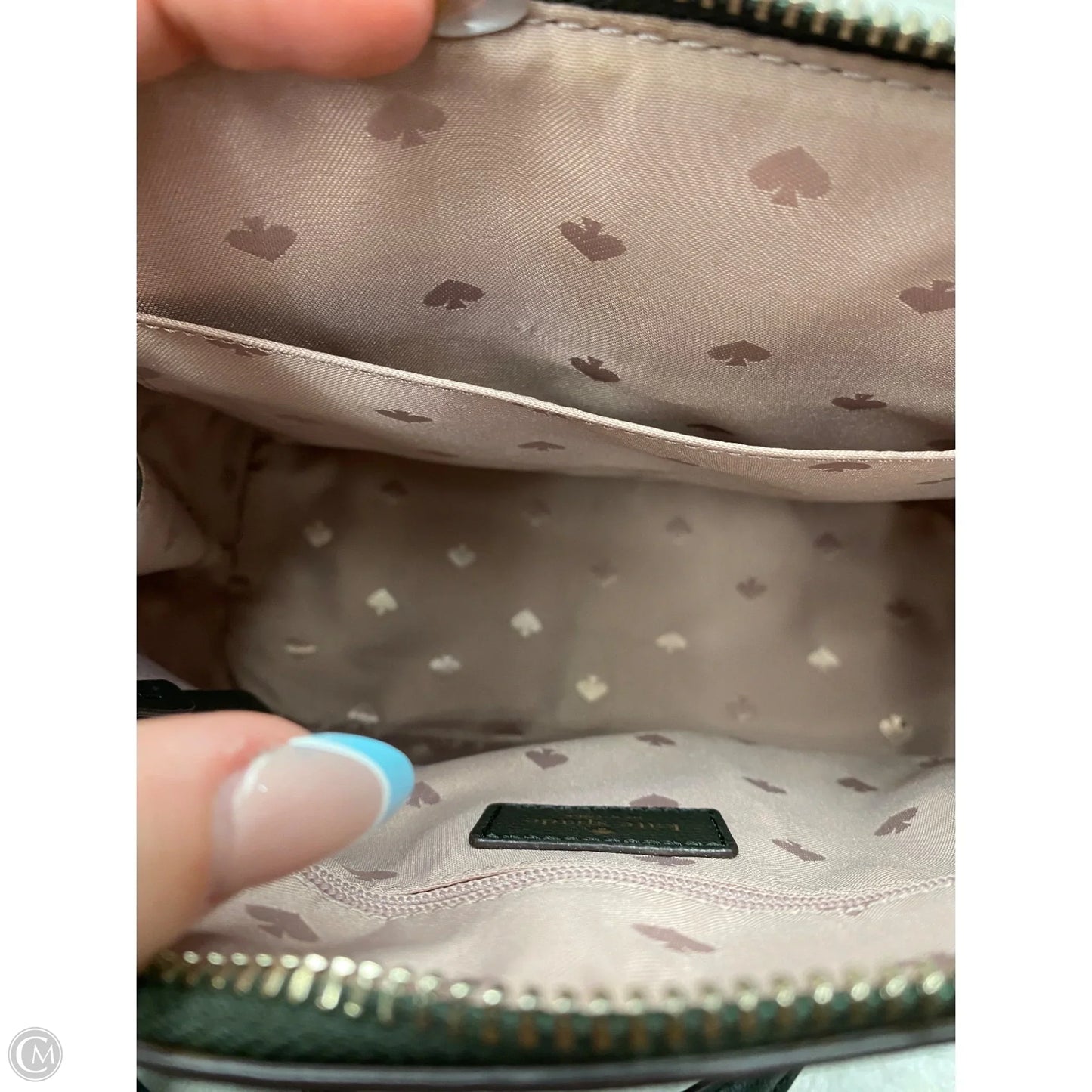 Crossbody Designer By Kate Spade, Size: Medium