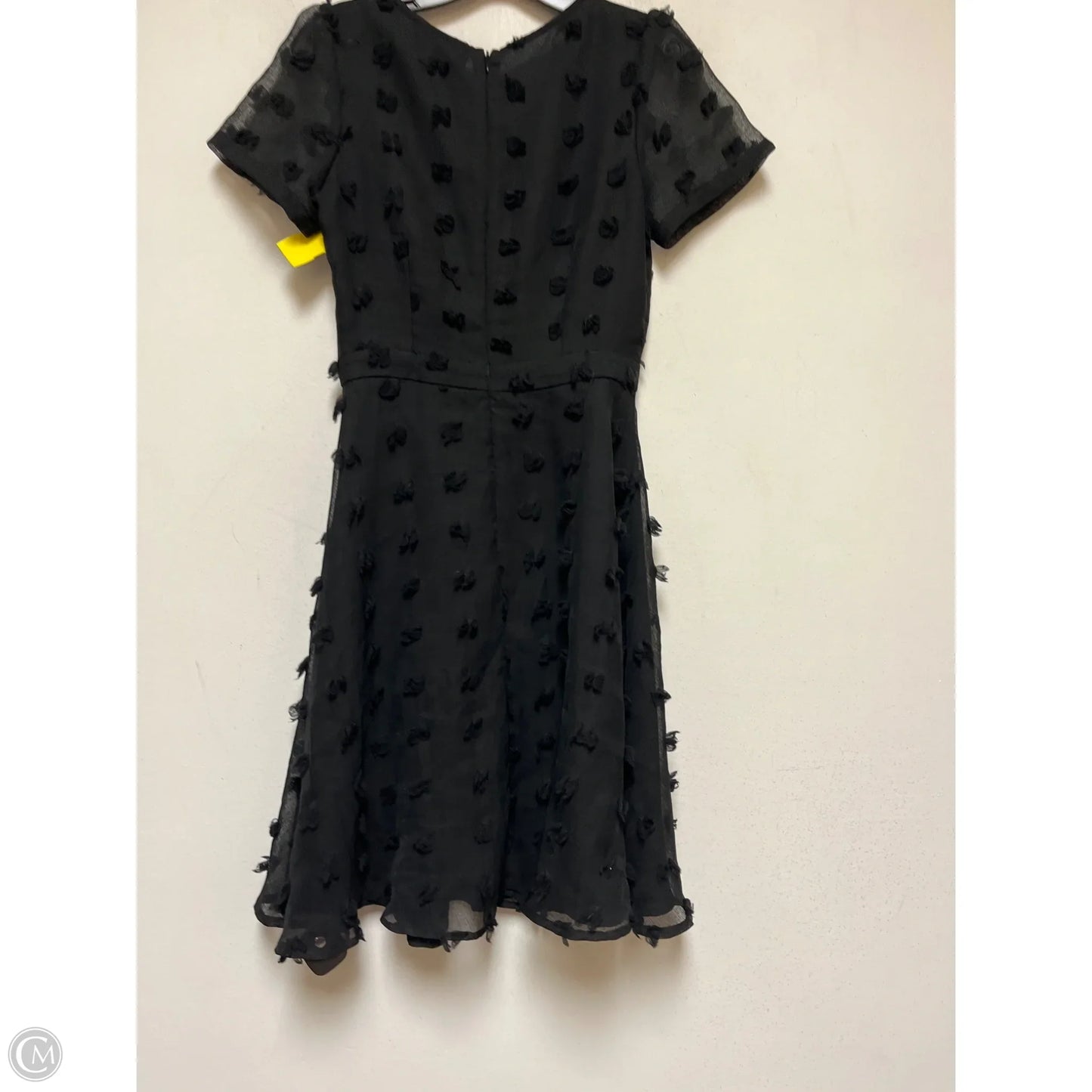 Dress Casual Short By Sunday In Brooklyn In Black, Size: Xs