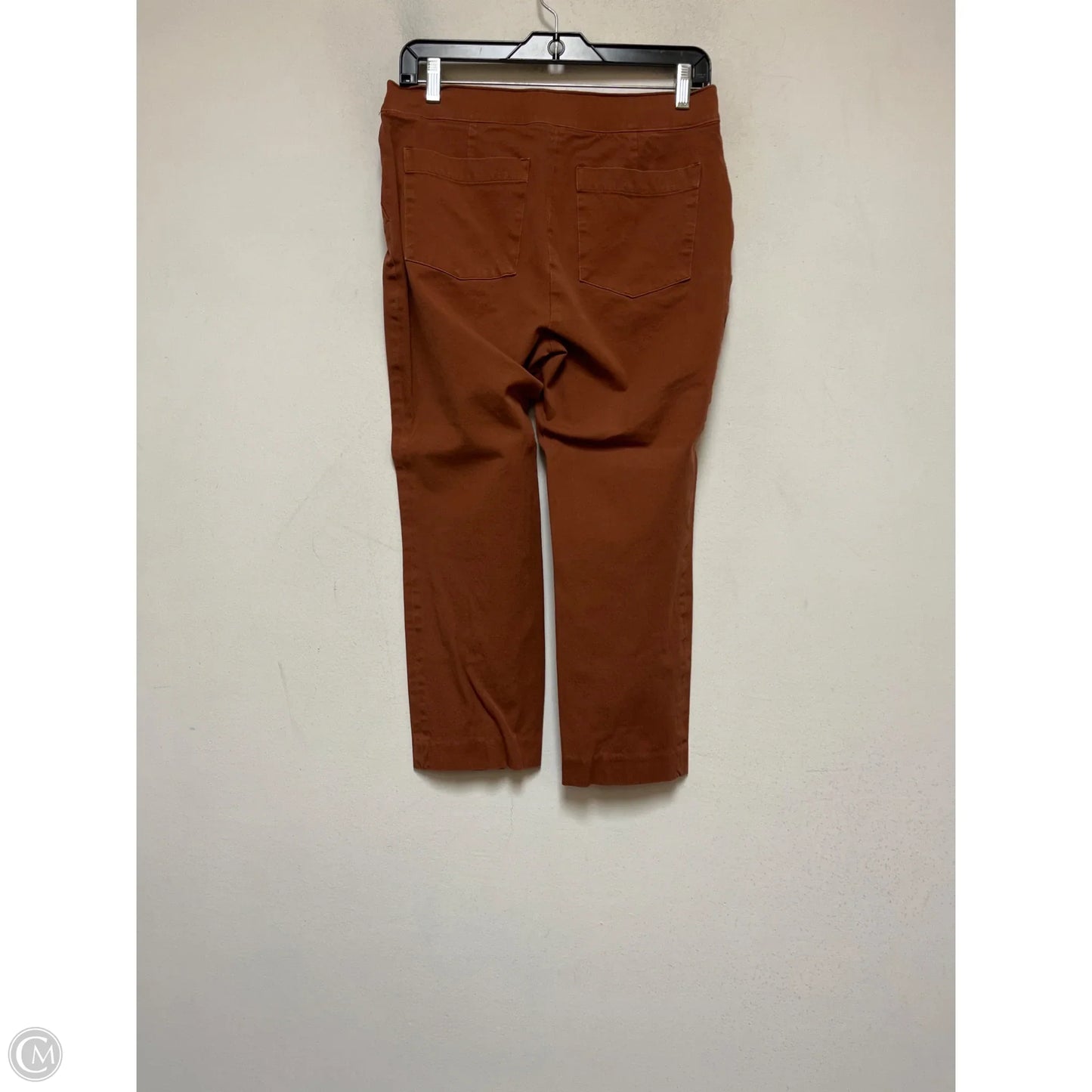 Pants Other By Spanx In Brown, Size: 12
