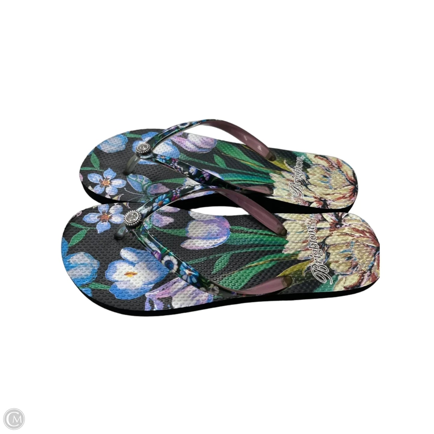 Sandals Flip Flops By Brighton In Floral Print, Size: 7