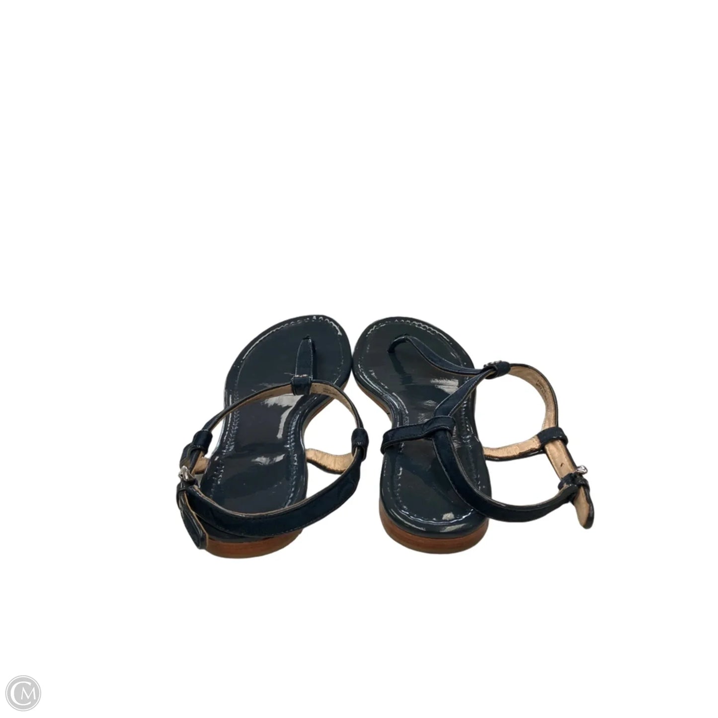Sandals Designer By Coach In Blue, Size: 10