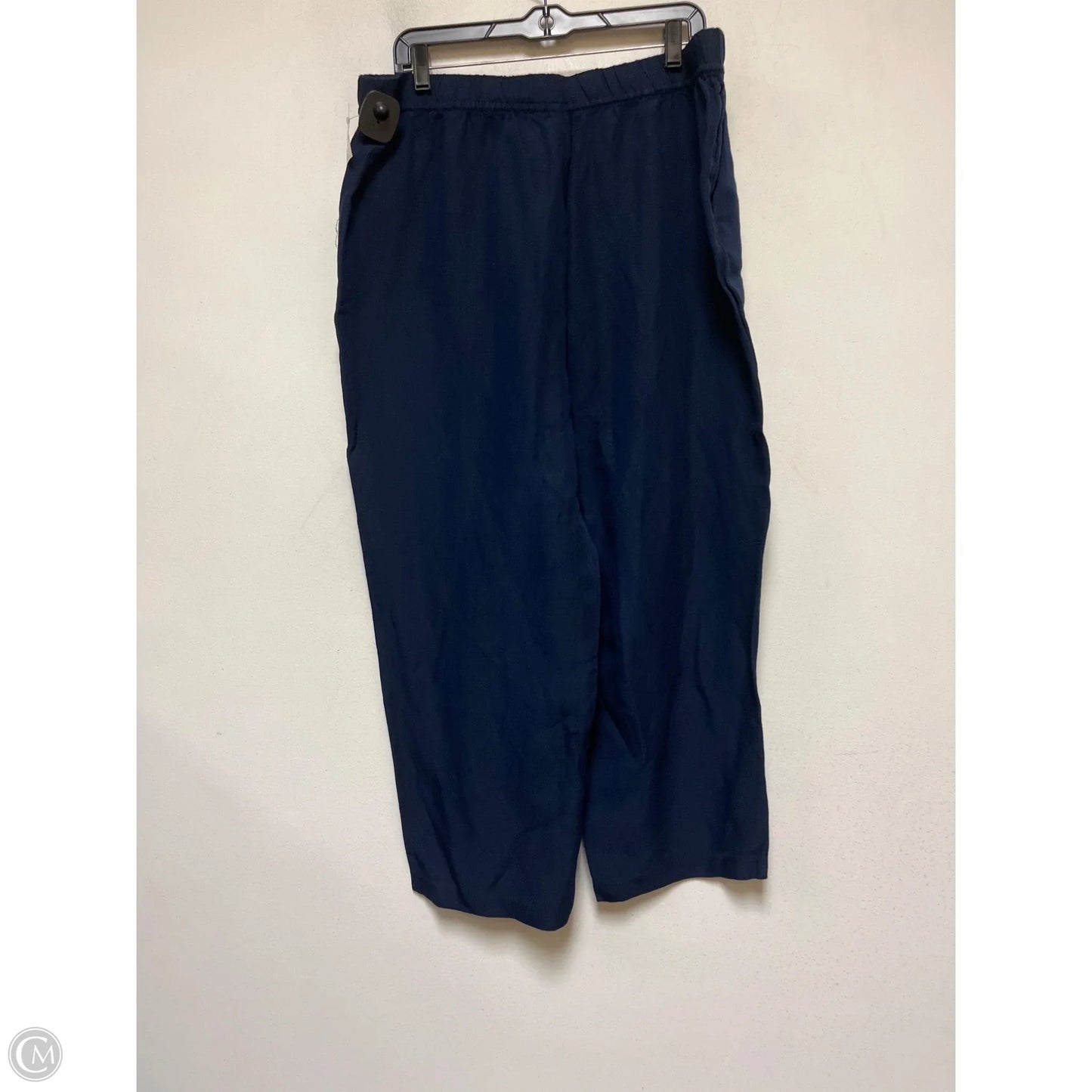 Pants Other By H&m In Navy, Size: 14