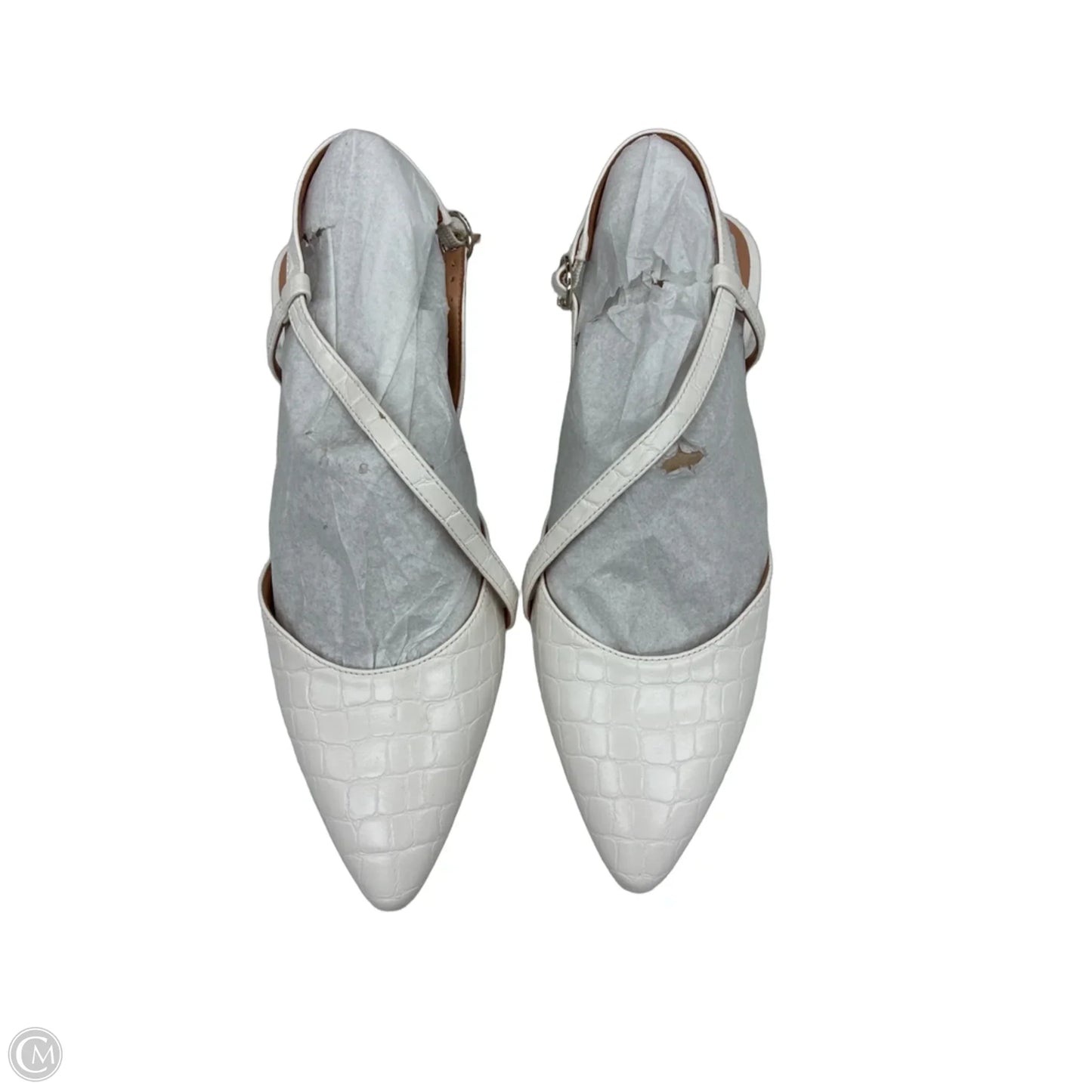 Shoes Flats By Naturalizer In White, Size: 7.5