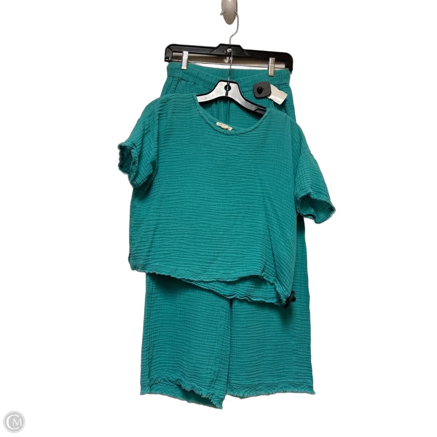Pants Set 2pc By Eileen Fisher In Aqua, Size: 2