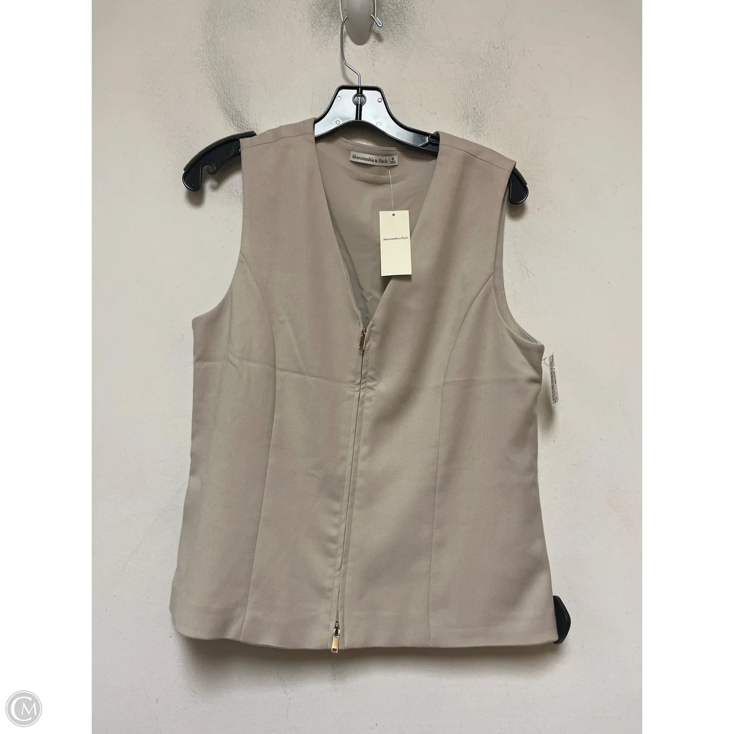 Top Sleeveless By Abercrombie And Fitch In Tan, Size: M