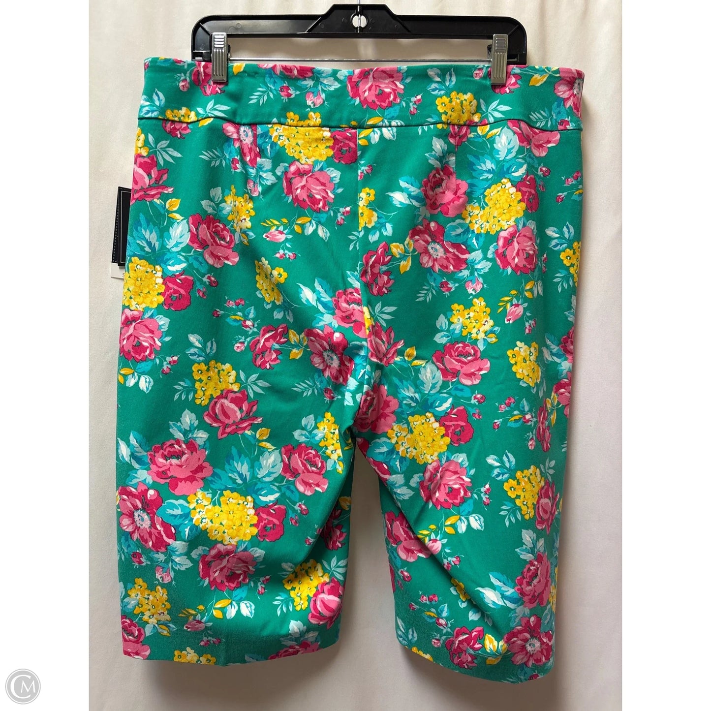 Shorts By Counterparts In Green, Size: 2x