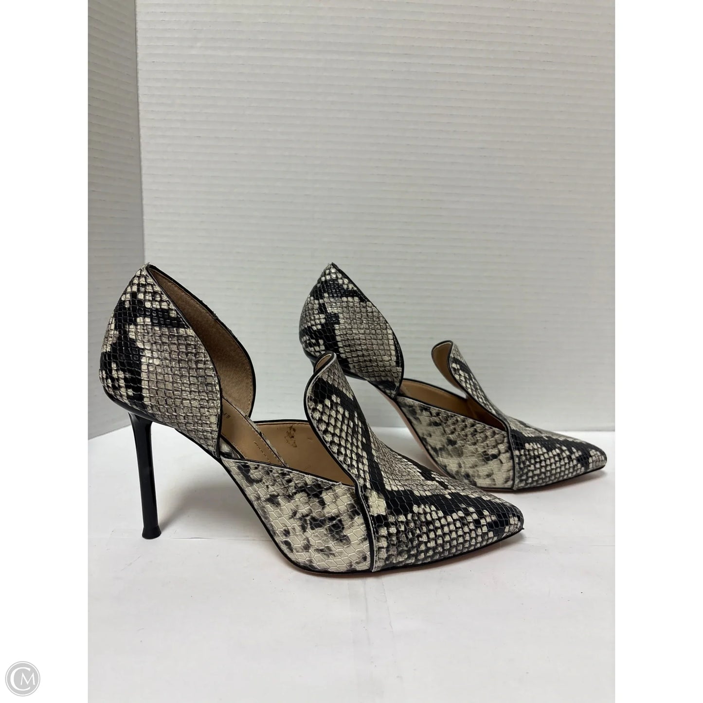 Shoes Heels Stiletto By Gianni Bini In Animal Print, Size: 9