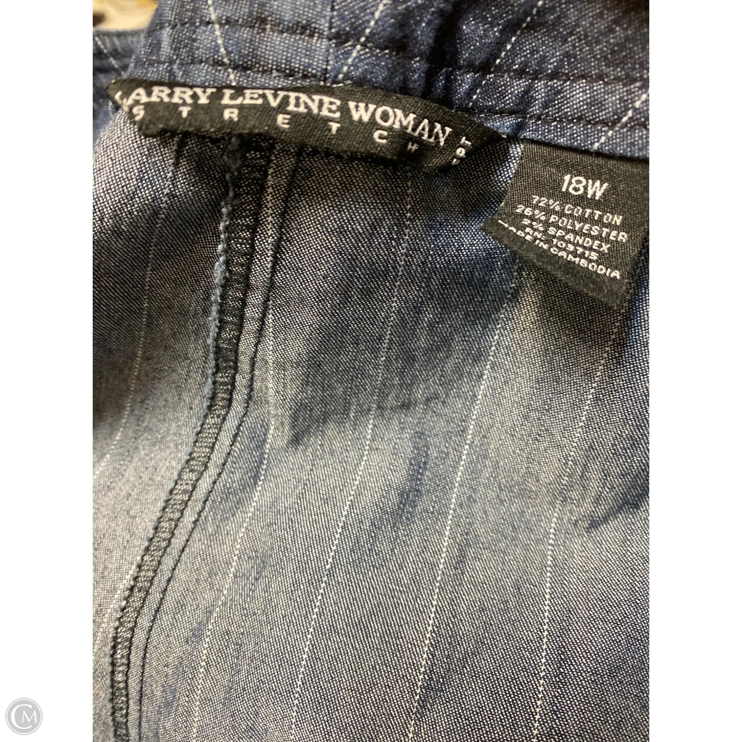 Pants Other By Larry Levine In Blue, Size: 1x