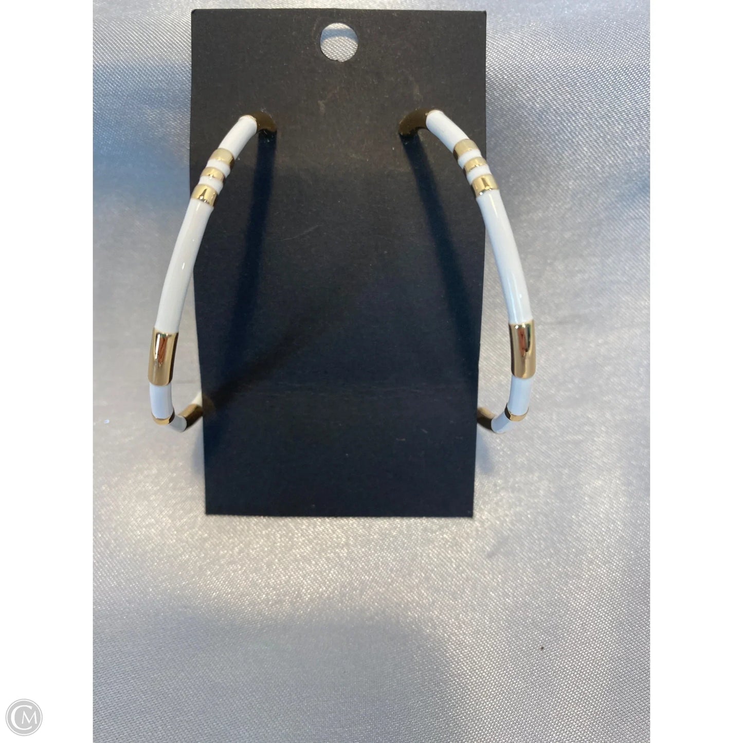 Earrings Hoop By Park Lane