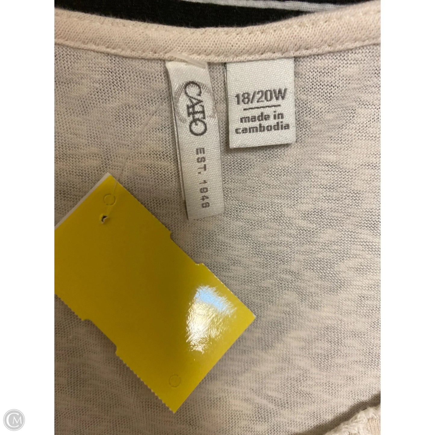 Top Short Sleeve By Cato In Tan, Size: 1x