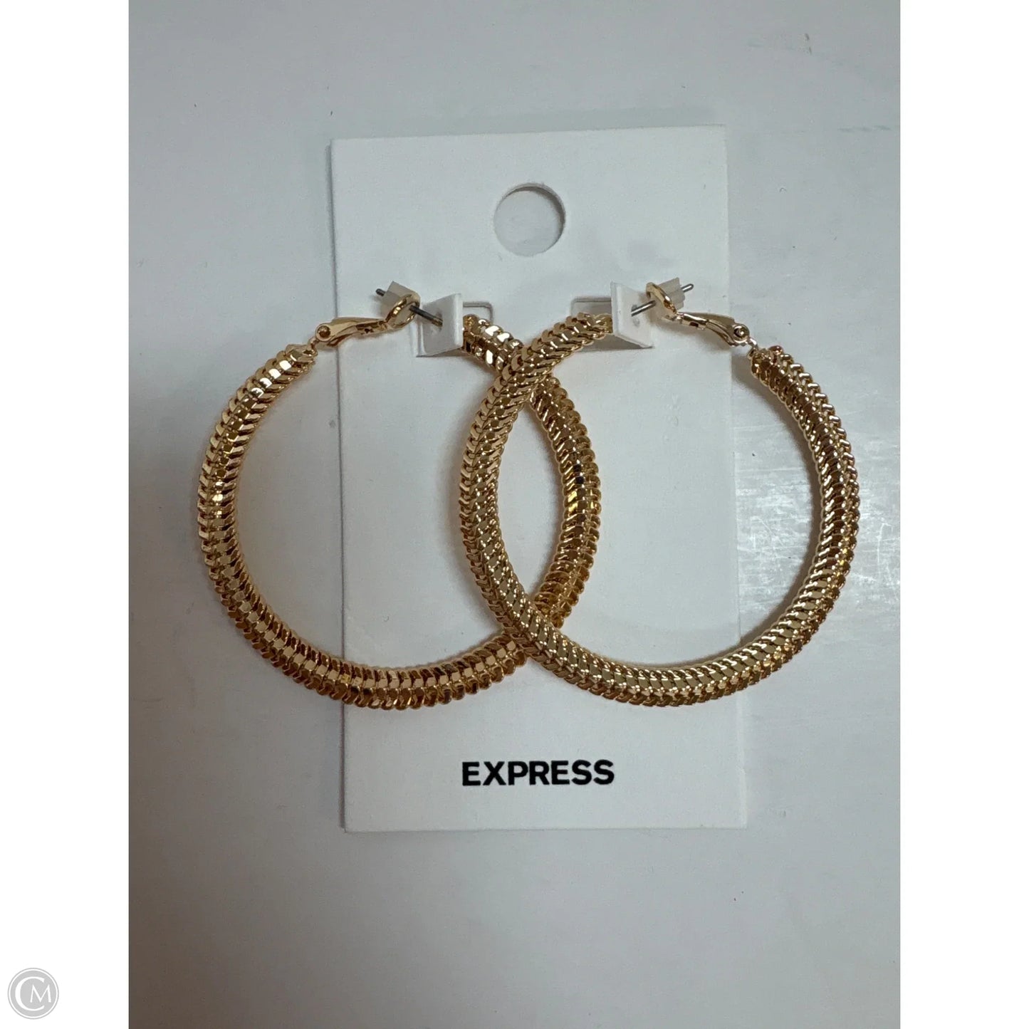 Earrings Hoop By Express