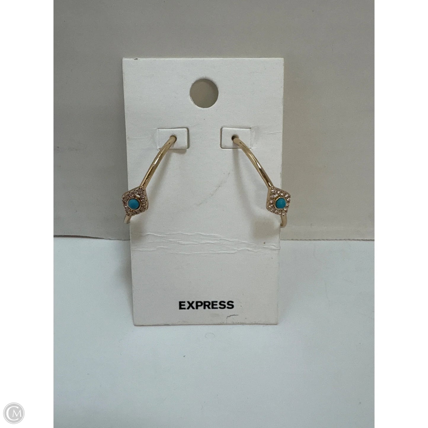 Earrings Hoop By Express