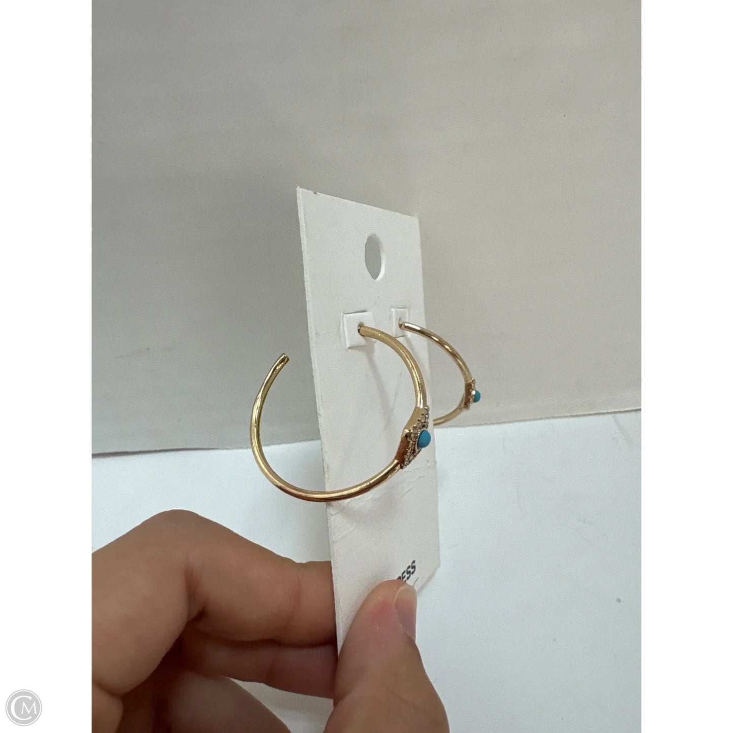 Earrings Hoop By Express