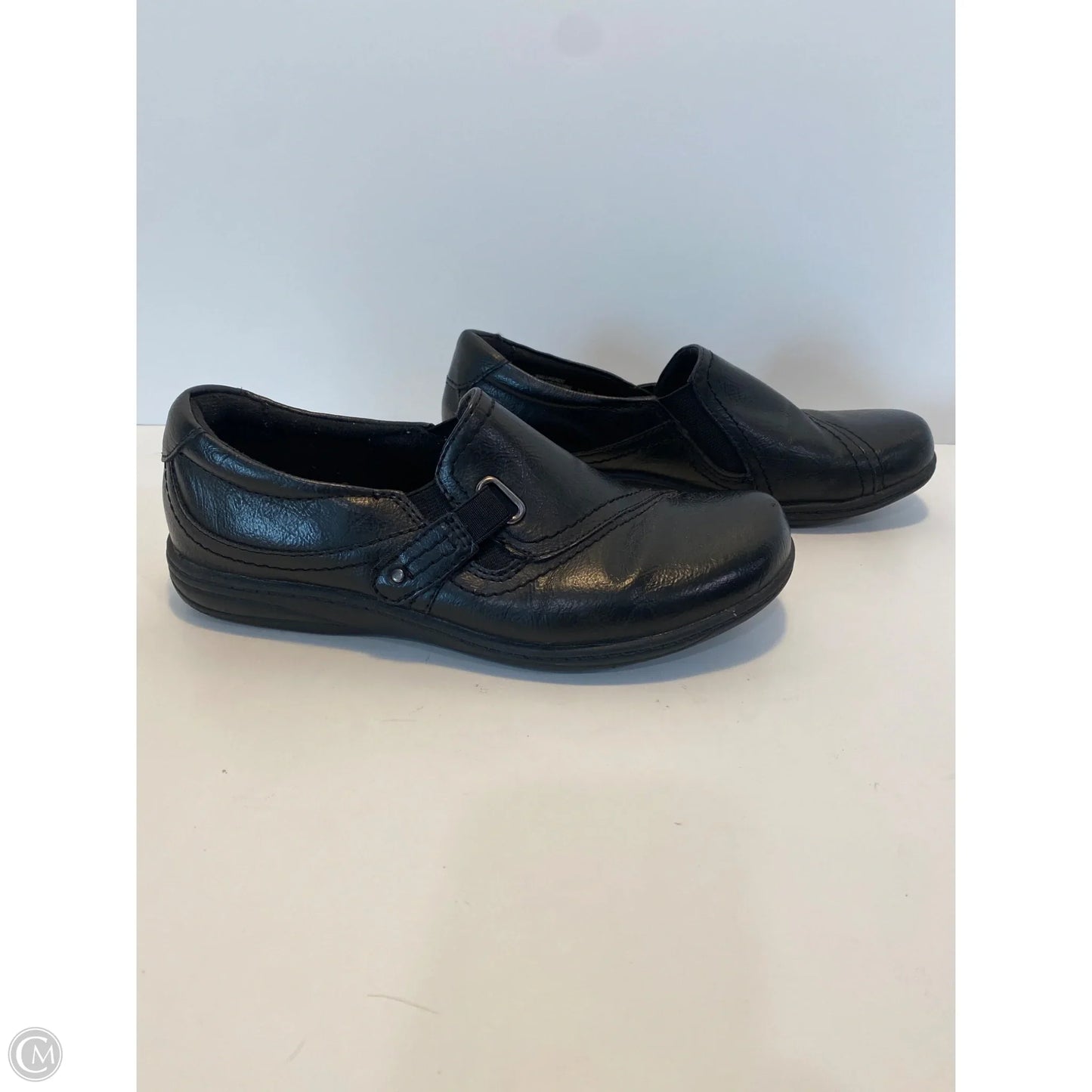 Shoes Flats By Earth In Black, Size: 6.5