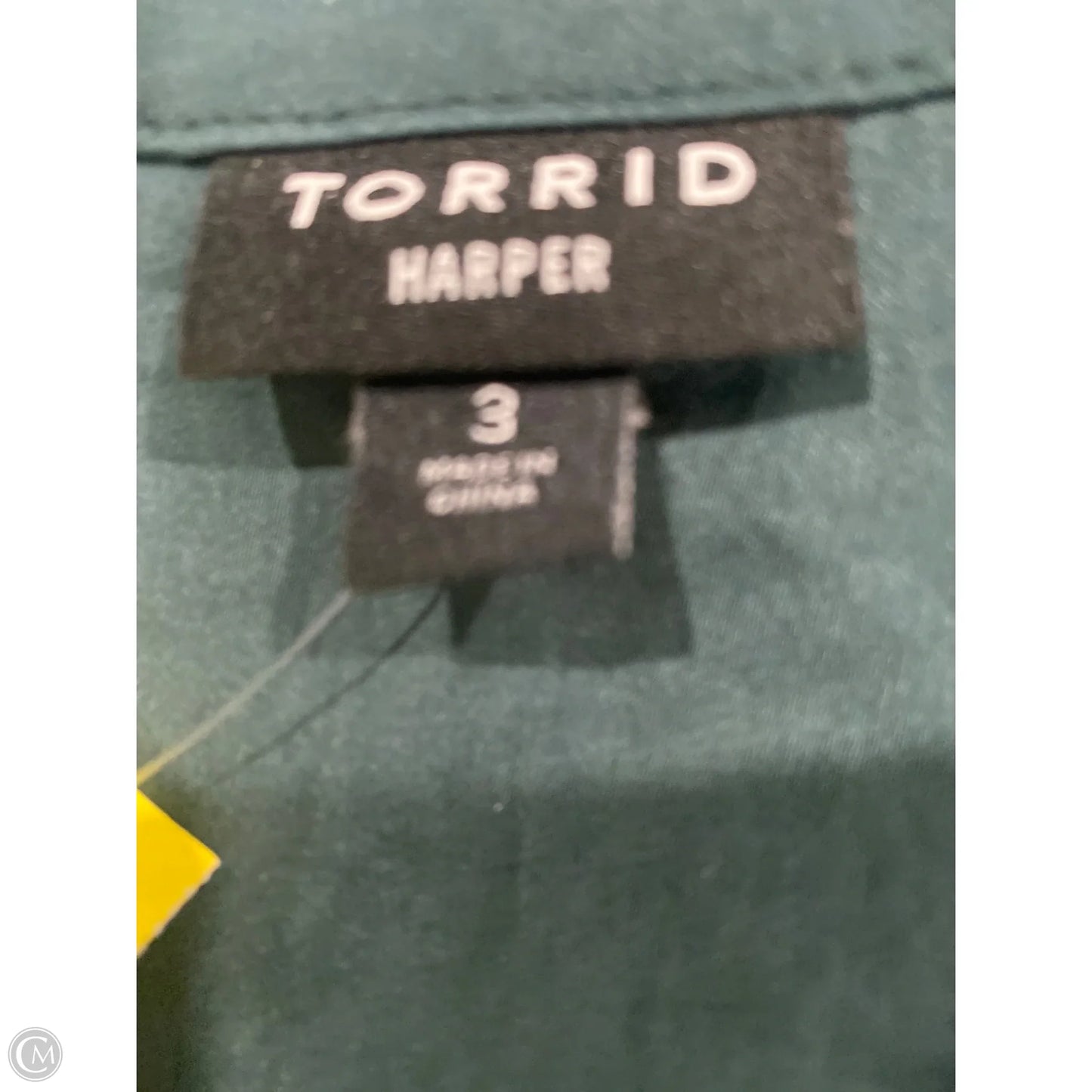 Top Long Sleeve By Torrid In Green, Size: 3x