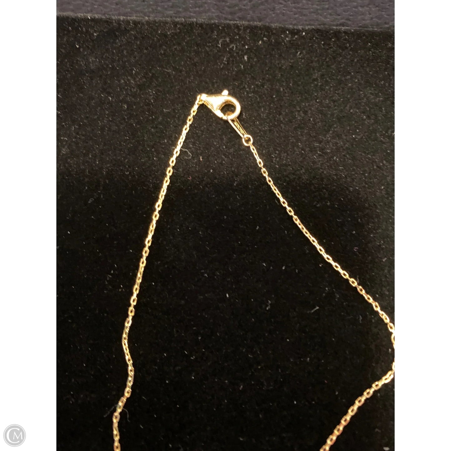 Necklace Chain By Rachel Zoe