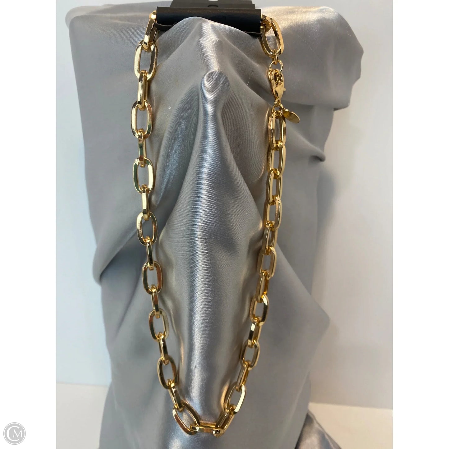 Necklace Chain By Aldo