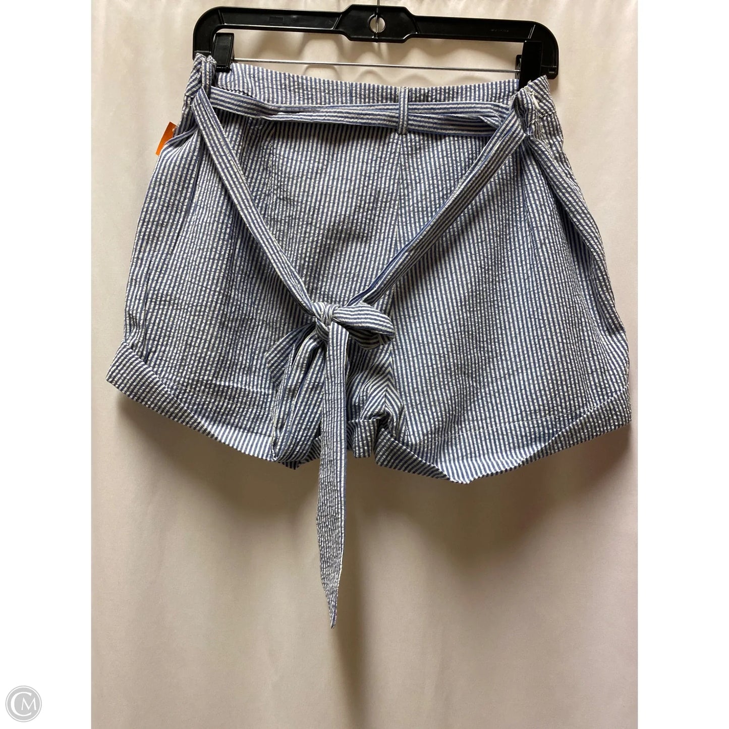 Shorts By Clothes Mentor In Blue, Size: 12