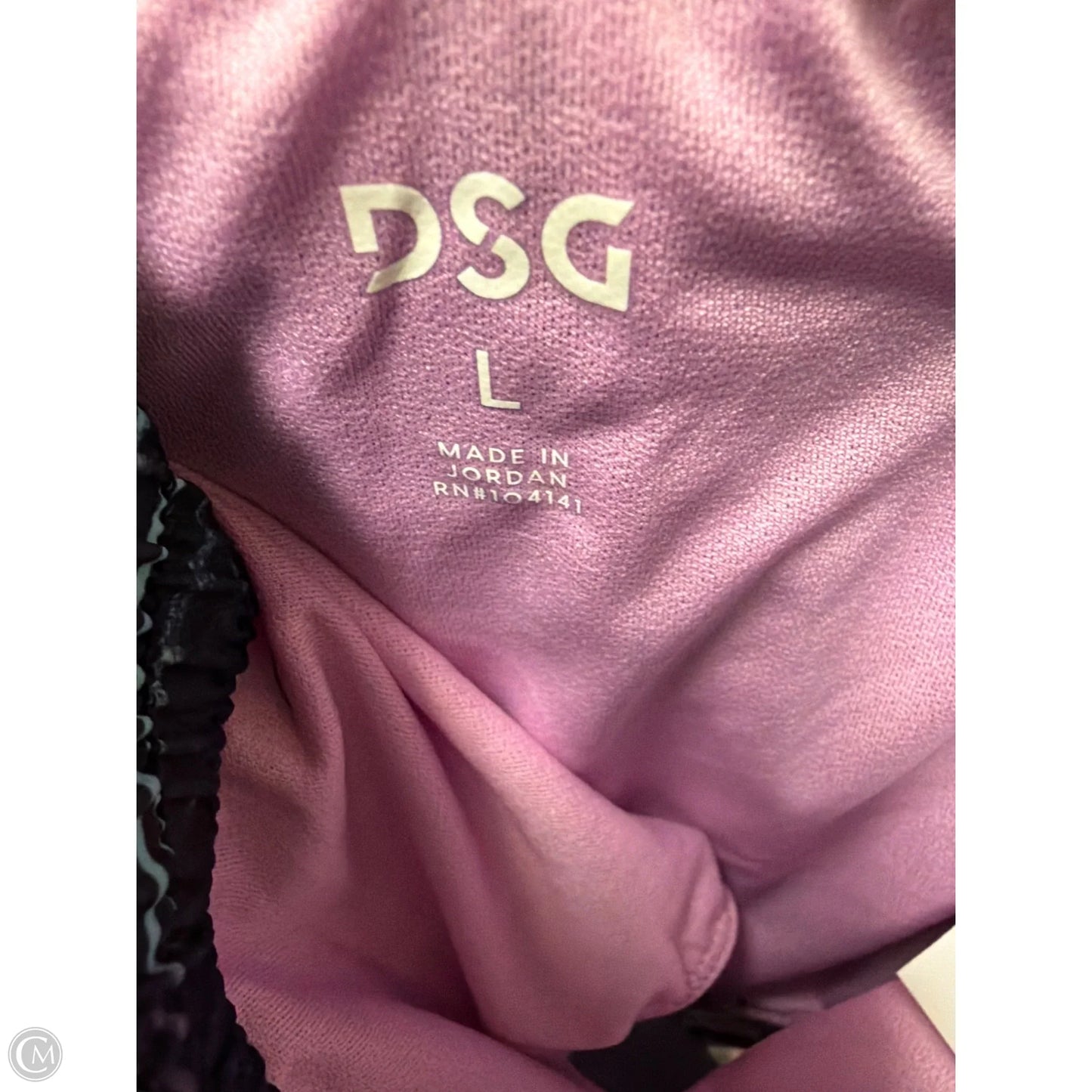 Athletic Shorts By Dsg Outerwear In Purple, Size: L