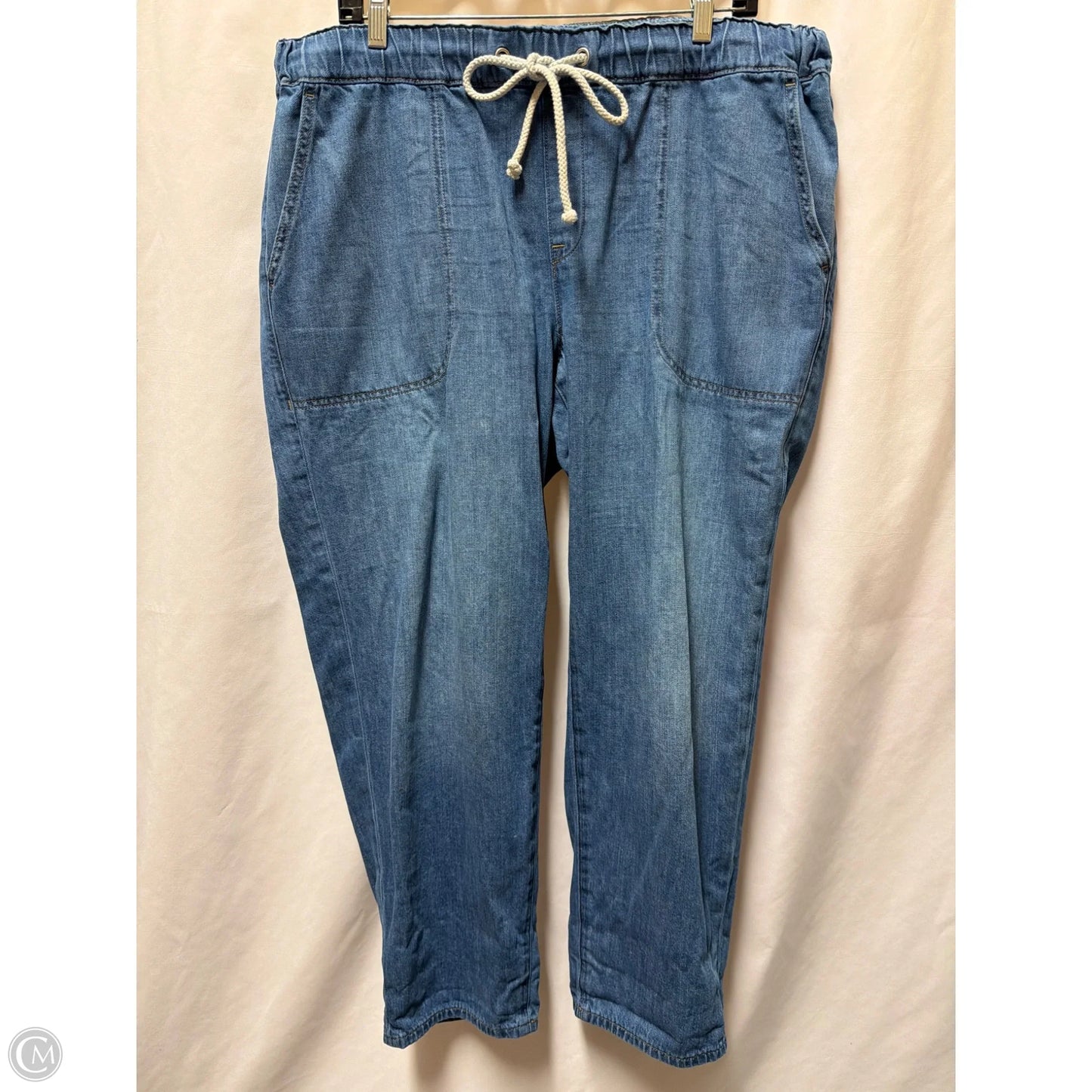 Pants Other By J. Crew In Blue, Size: 14